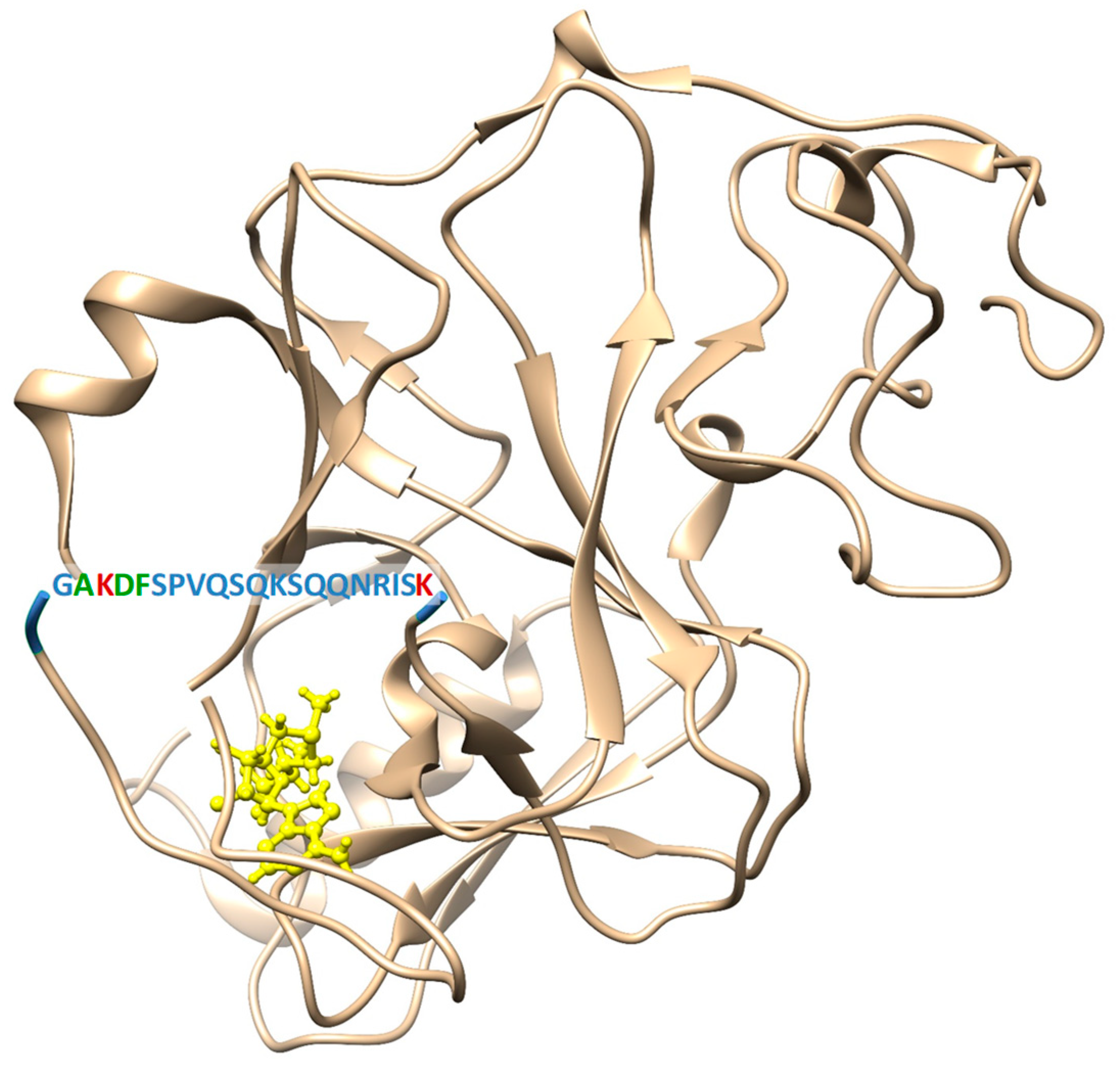 Ijms 21 08832 g001 Ijms 21 08832 g001