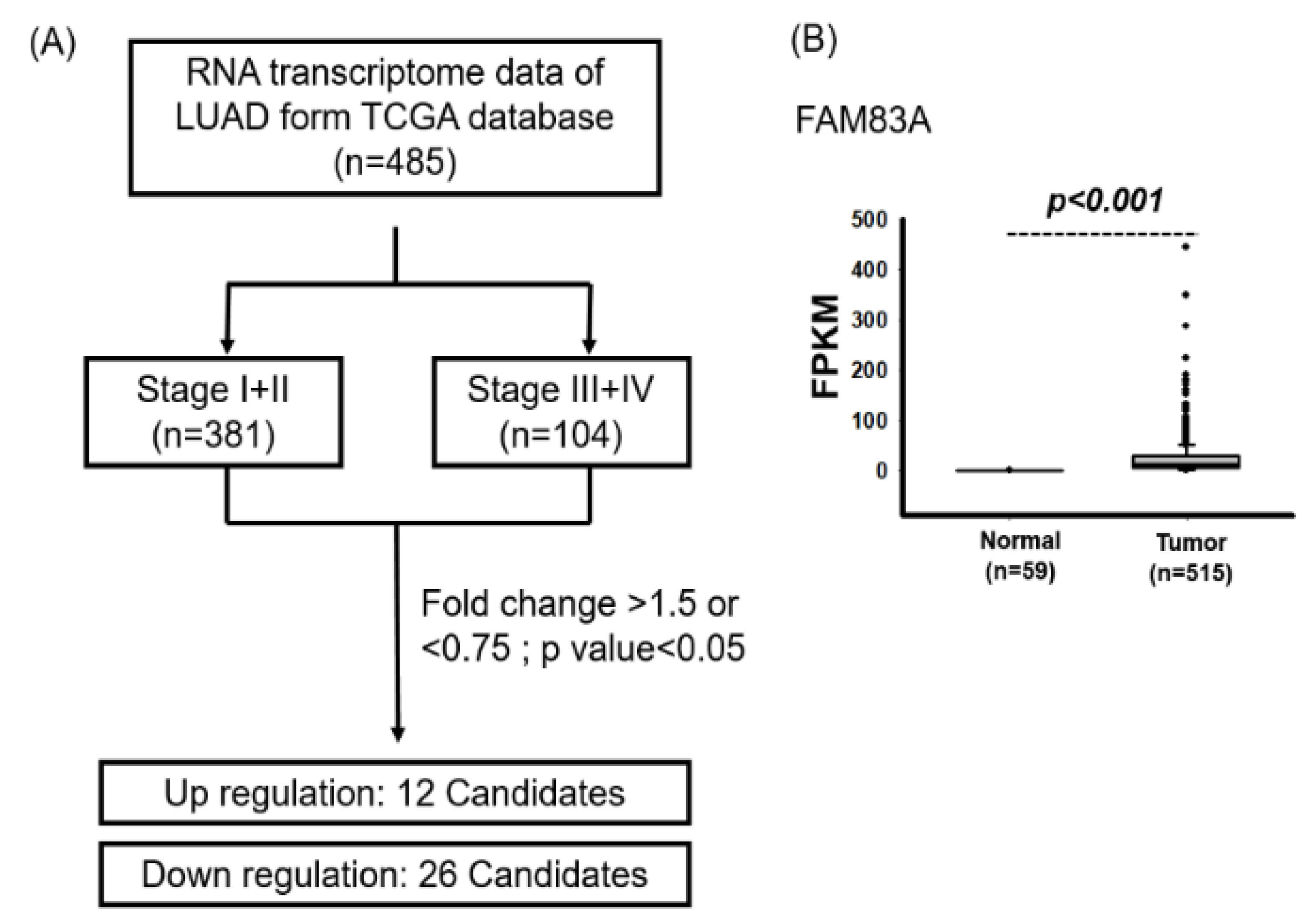 Ijms 21 08833 g001 Ijms 21 08833 g001