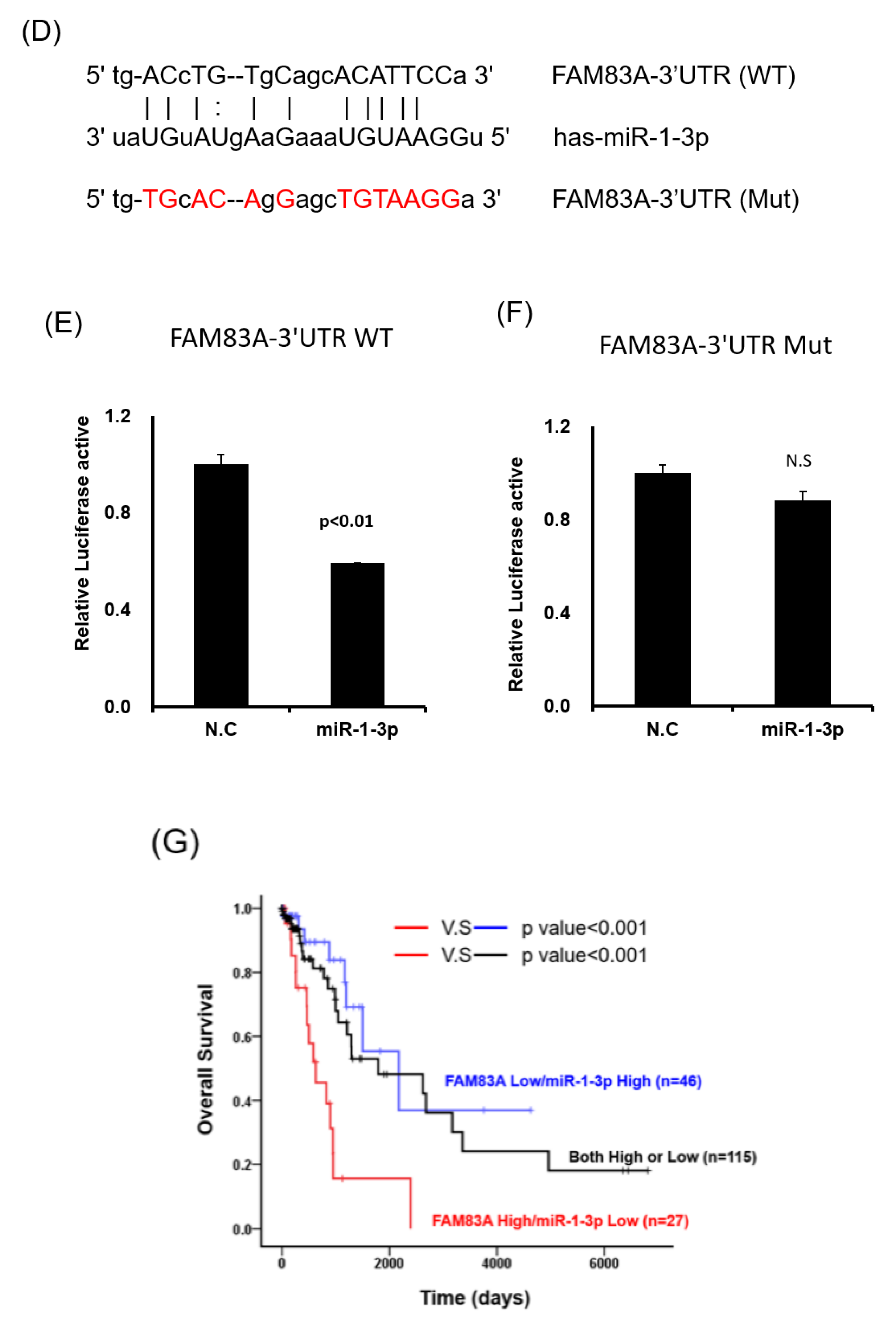 Ijms 21 08833 g007b Ijms 21 08833 g007b
