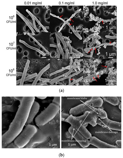 Recent Advances in Zinc Oxide Nanostructures with Antimicrobial