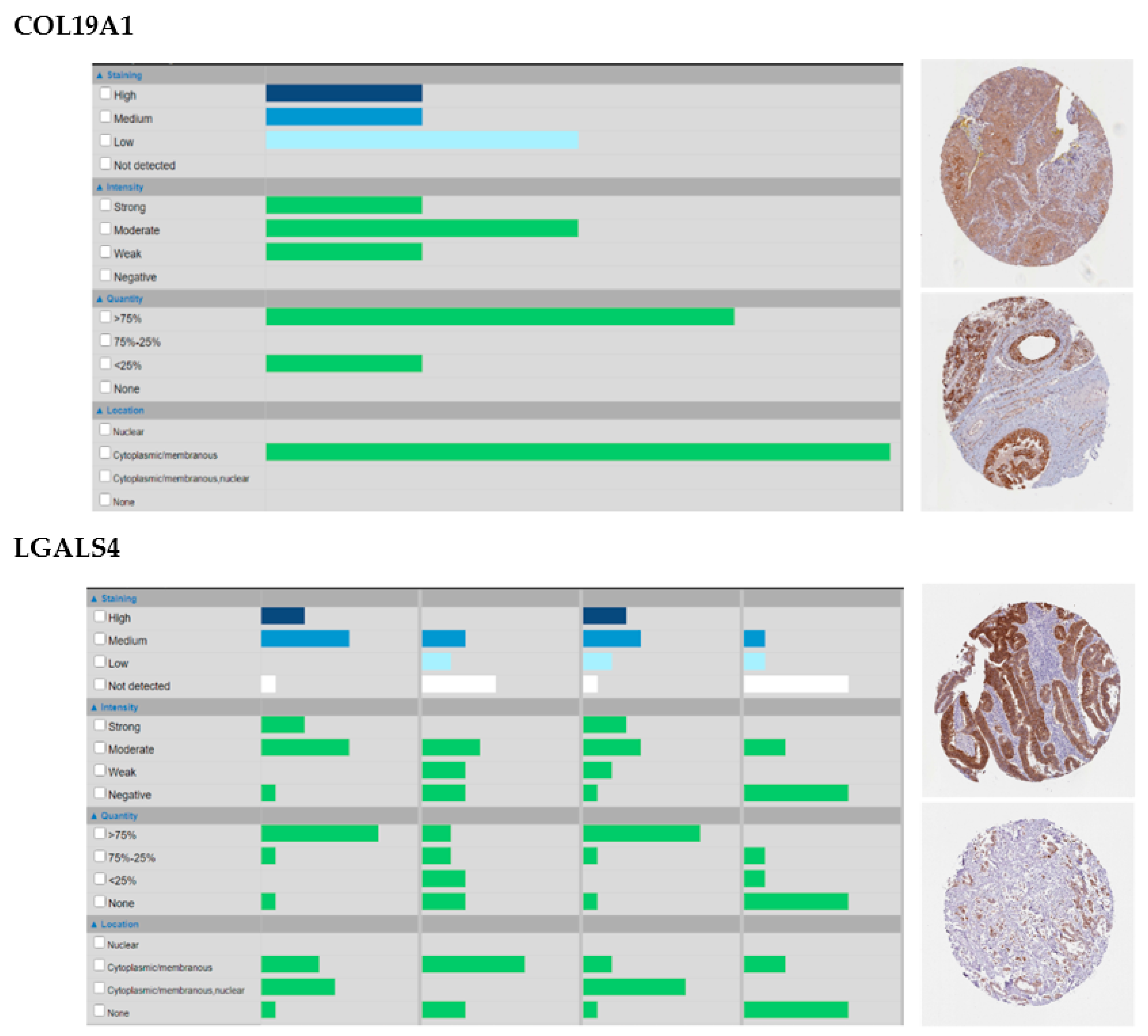 Ijms 21 08837 g0a1 Ijms 21 08837 g0a1