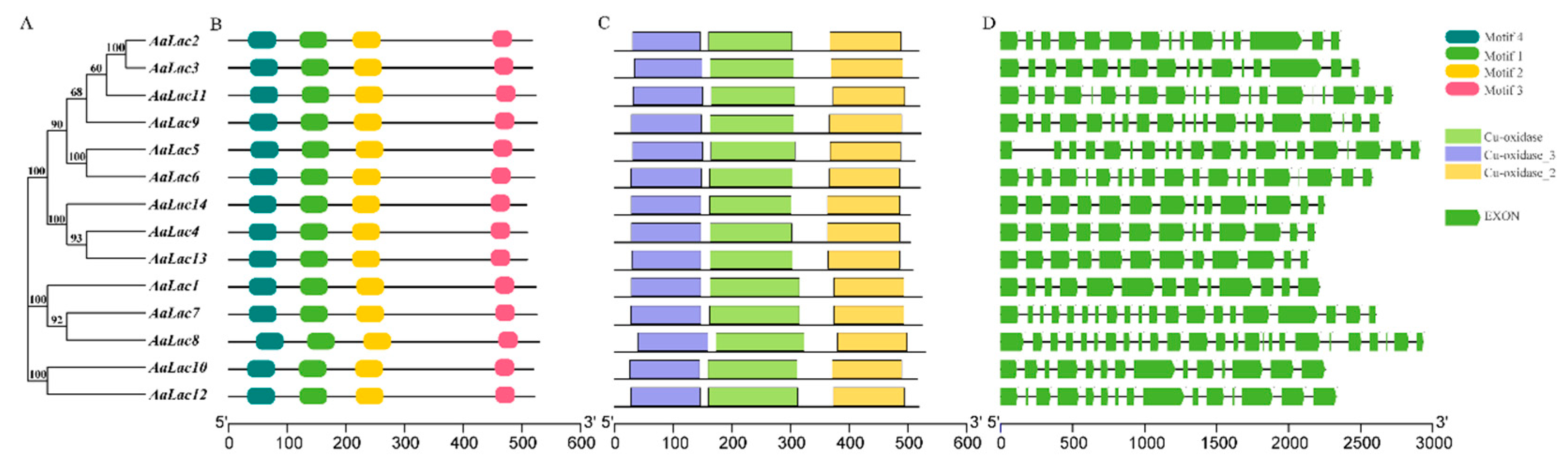 Ijms 21 08845 g002 Ijms 21 08845 g002