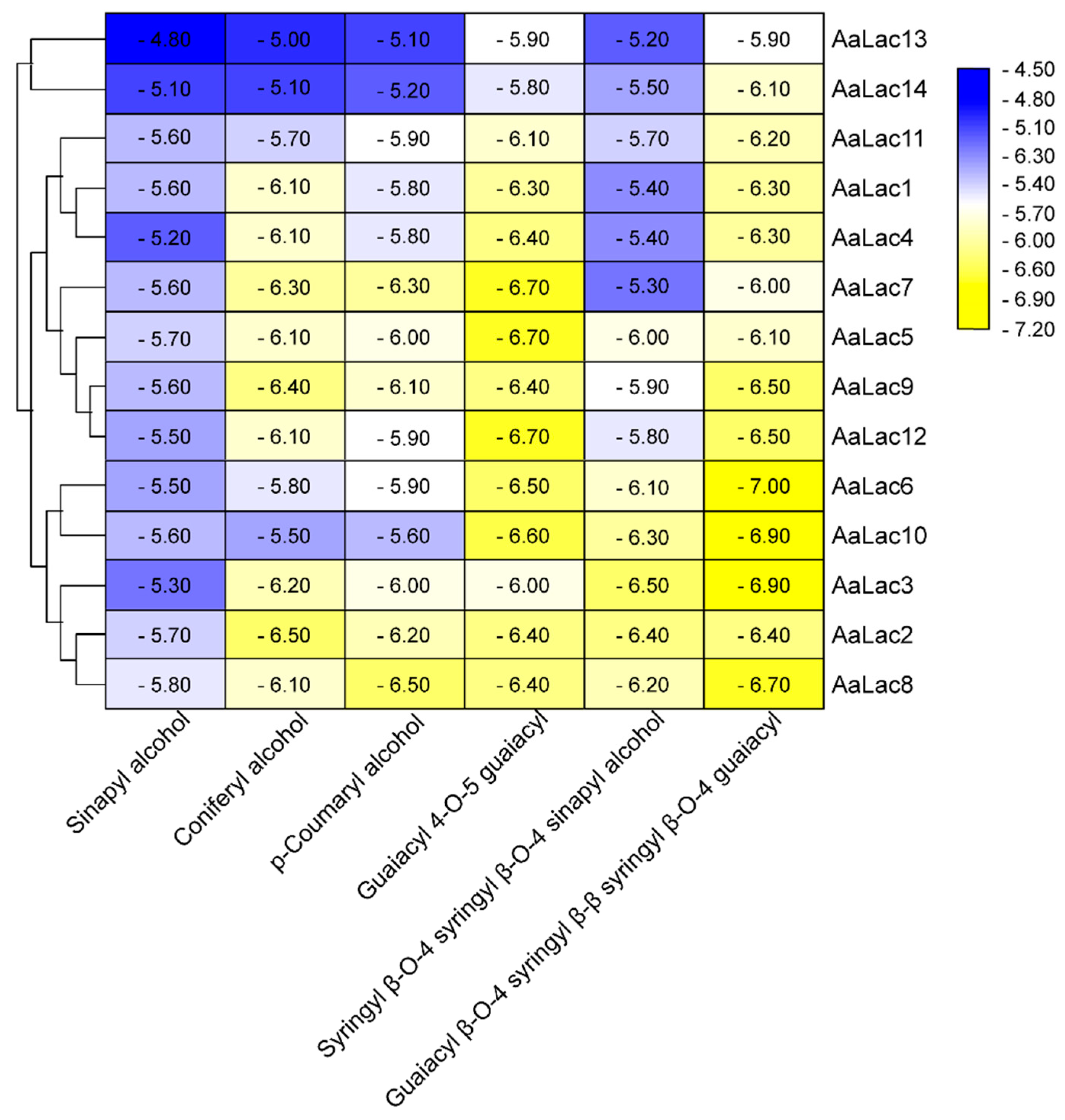 Ijms 21 08845 g005 Ijms 21 08845 g005