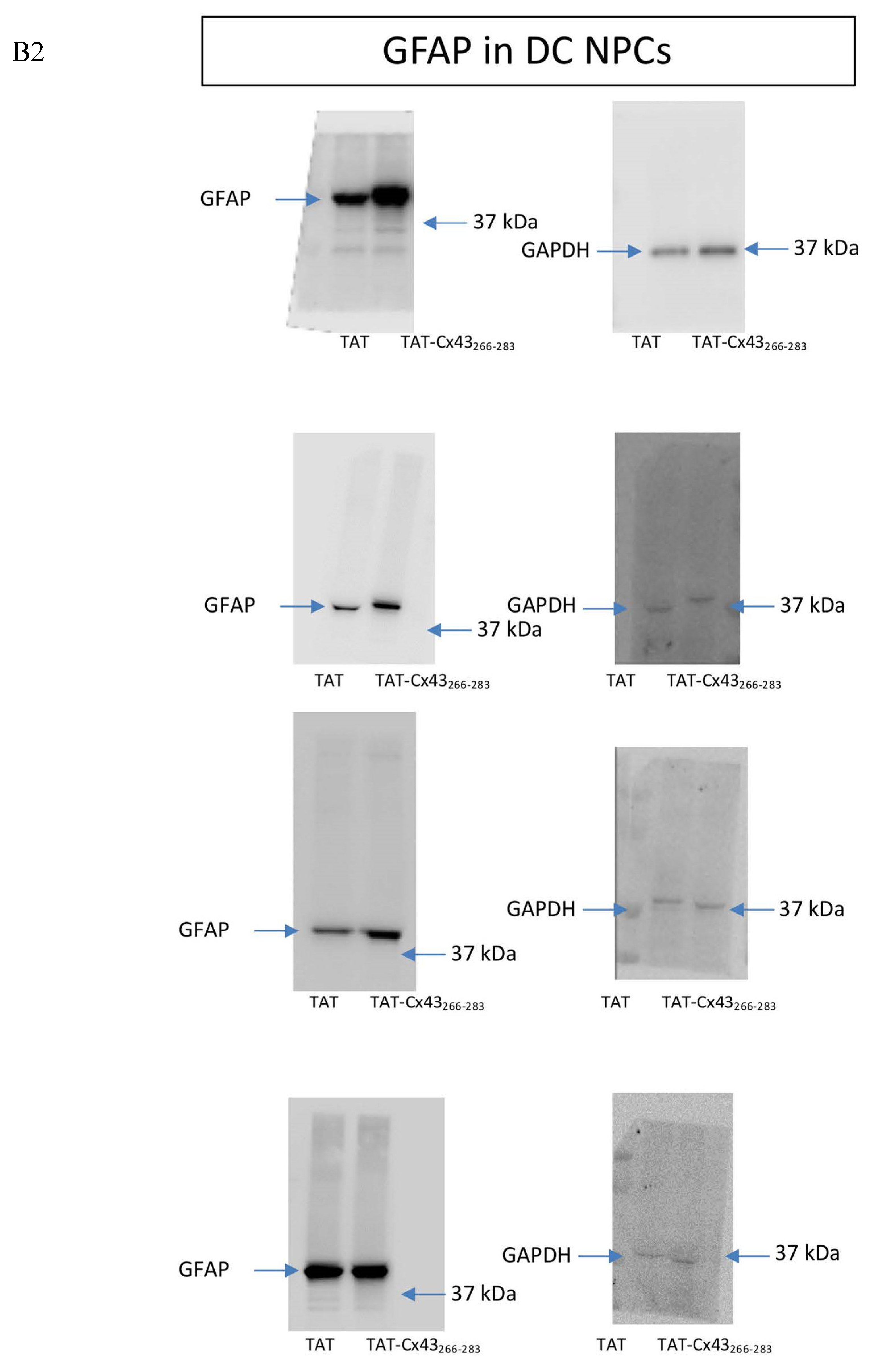 Ijms 21 08852 g0a1c Ijms 21 08852 g0a1c