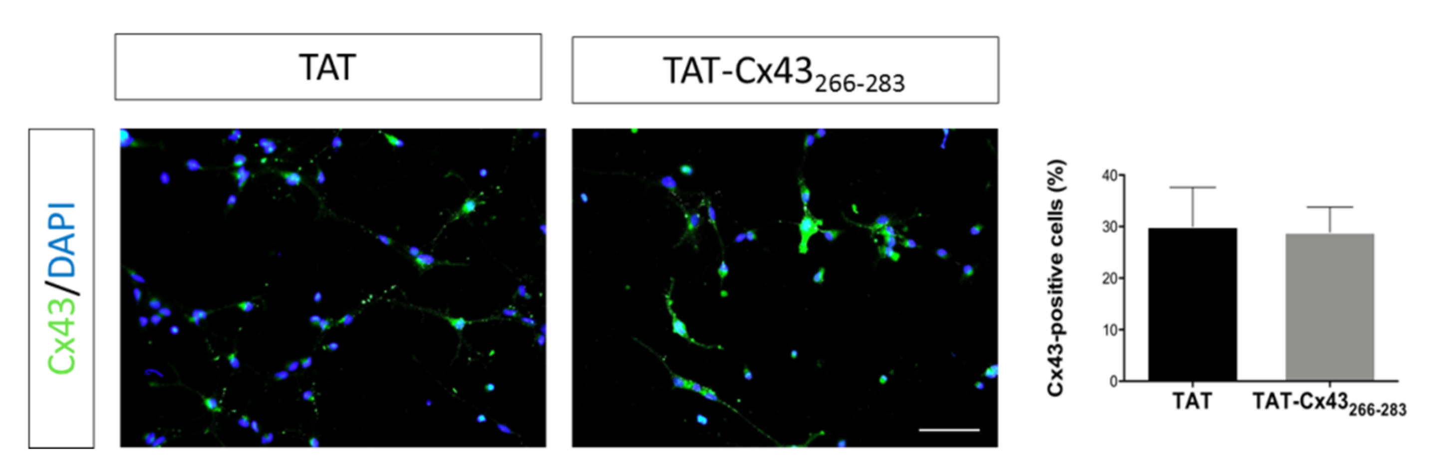 Ijms 21 08852 g0a2 Ijms 21 08852 g0a2