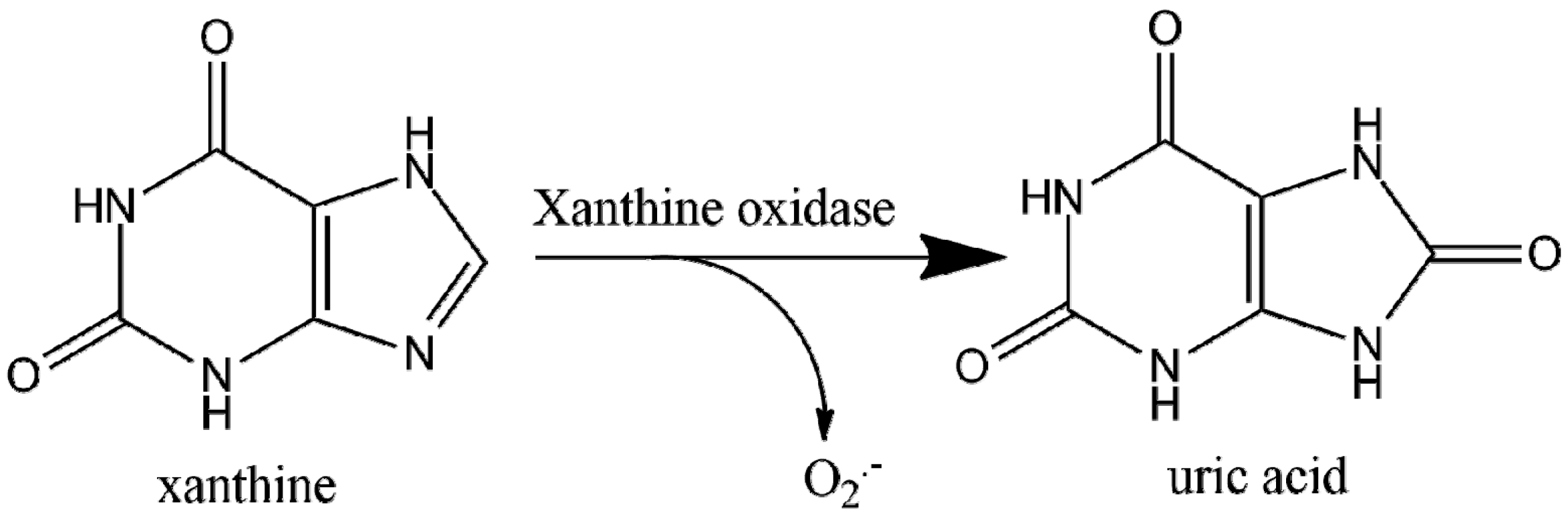 Ijms 21 08862 sch001 Ijms 21 08862 sch001