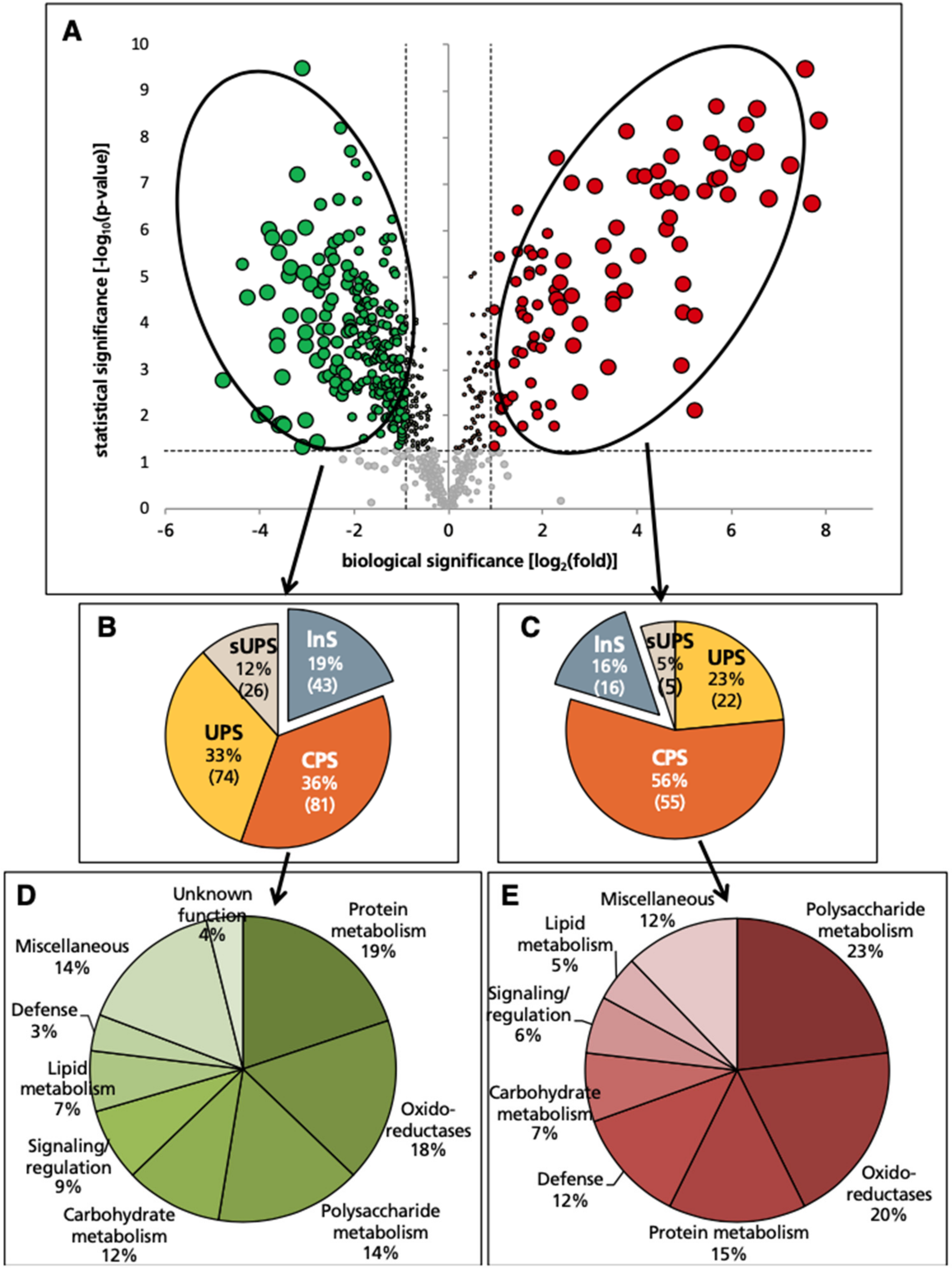 Ijms 21 08863 g002 Ijms 21 08863 g002