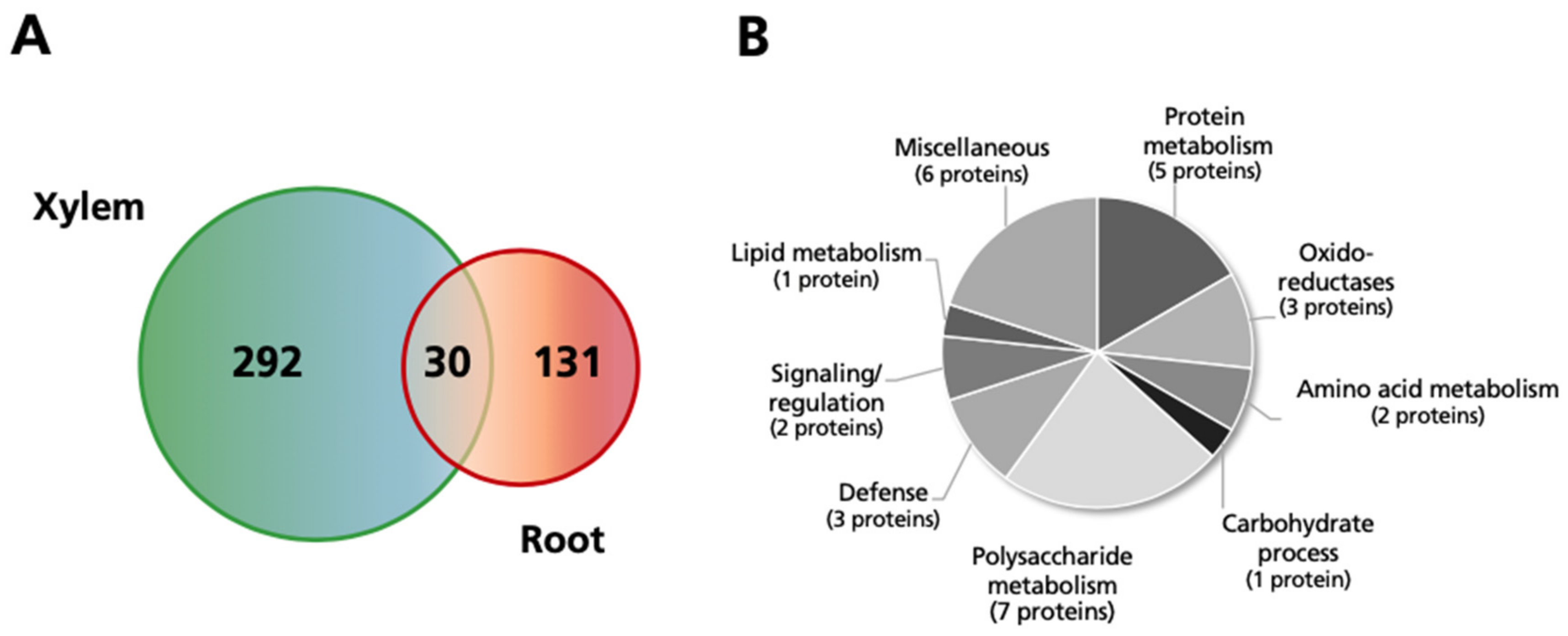 Ijms 21 08863 g003 Ijms 21 08863 g003