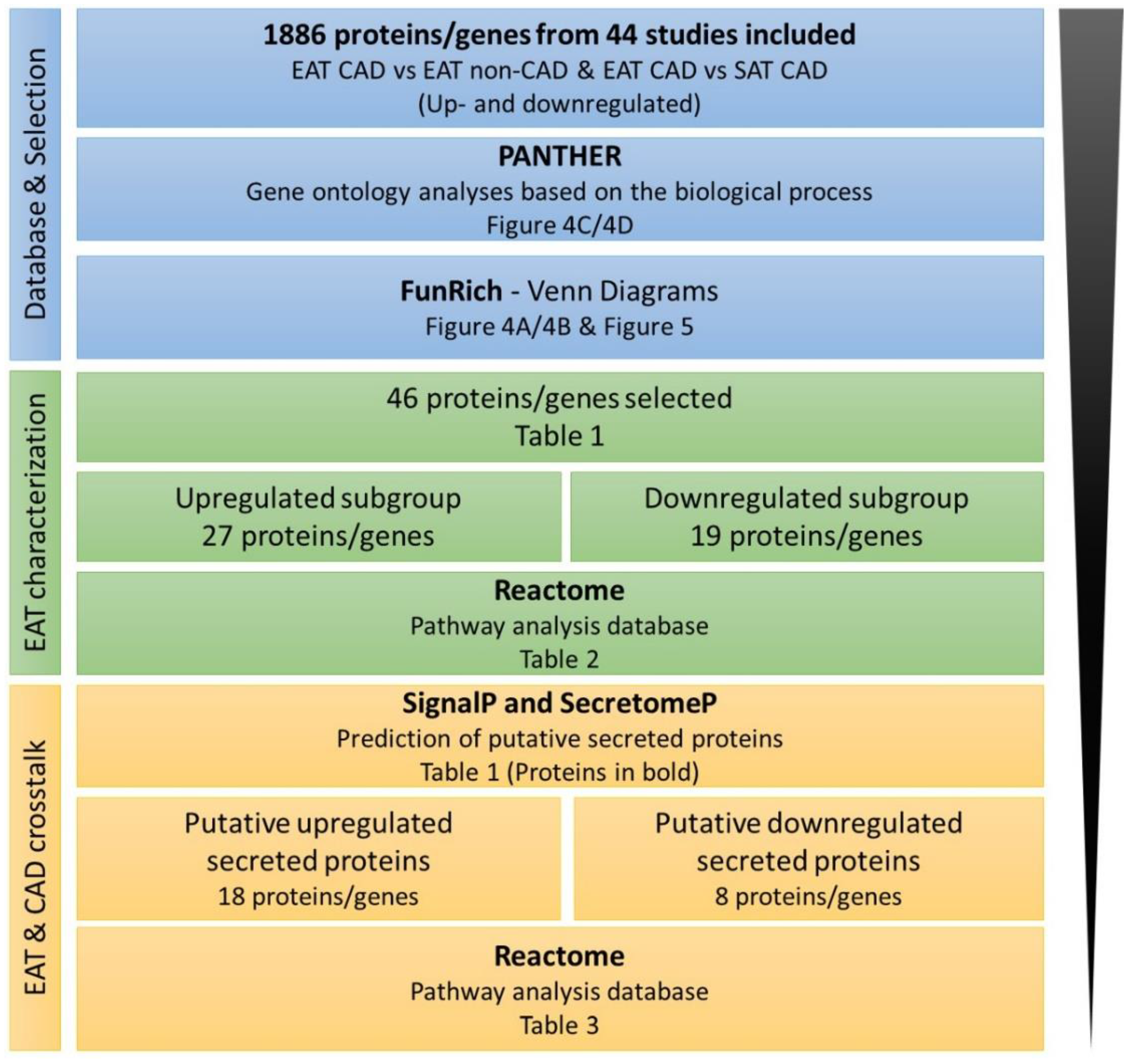 Ijms 21 08866 g003 Ijms 21 08866 g003