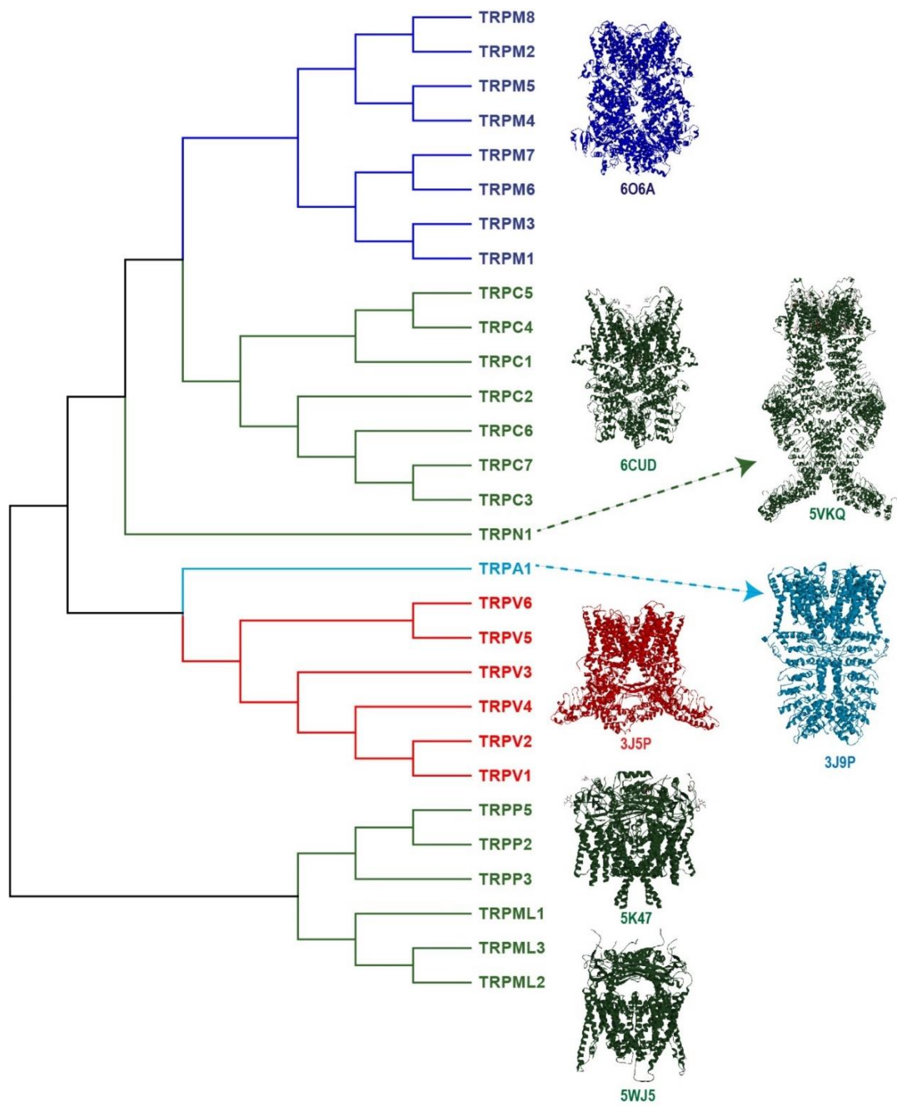 Ijms 21 08882 g001 Ijms 21 08882 g001