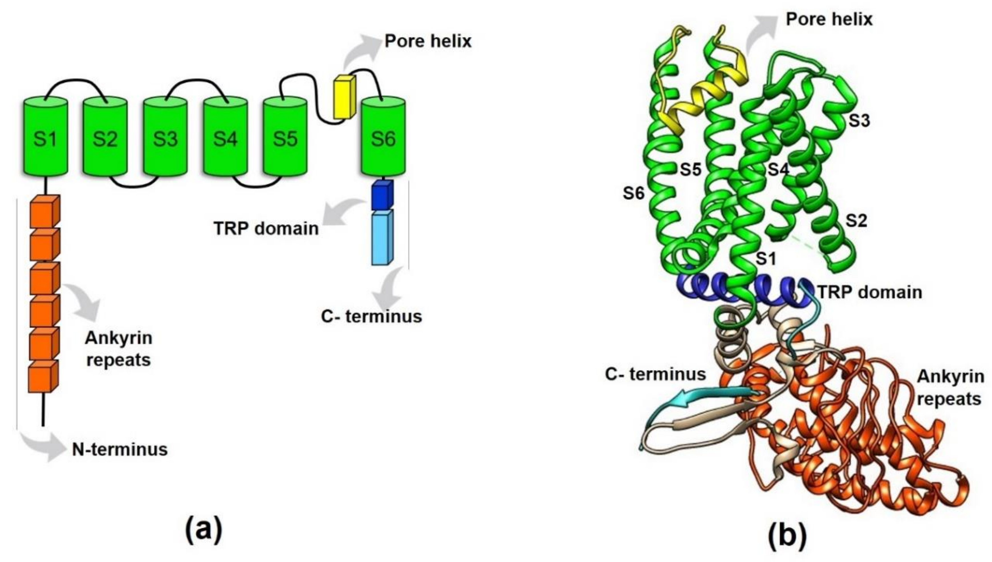 Ijms 21 08882 g002 Ijms 21 08882 g002