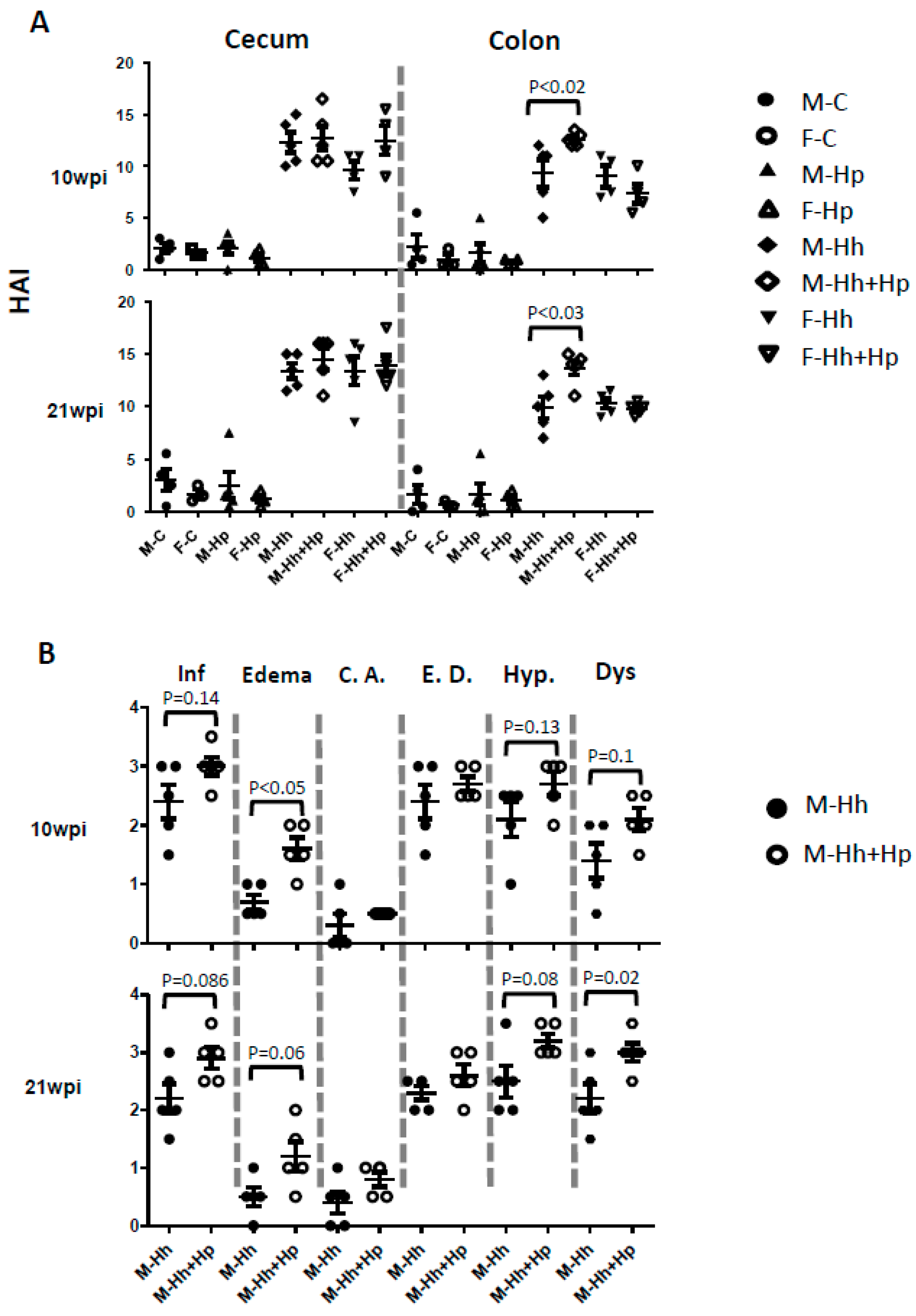 Ijms 21 08886 g003 Ijms 21 08886 g003