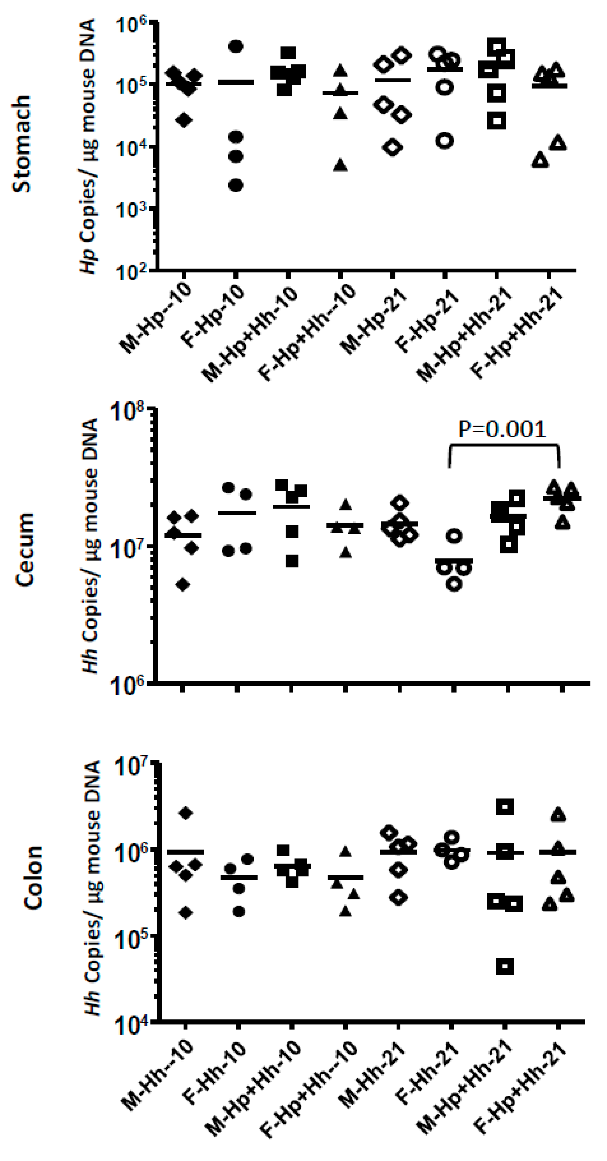 Ijms 21 08886 g005 Ijms 21 08886 g005
