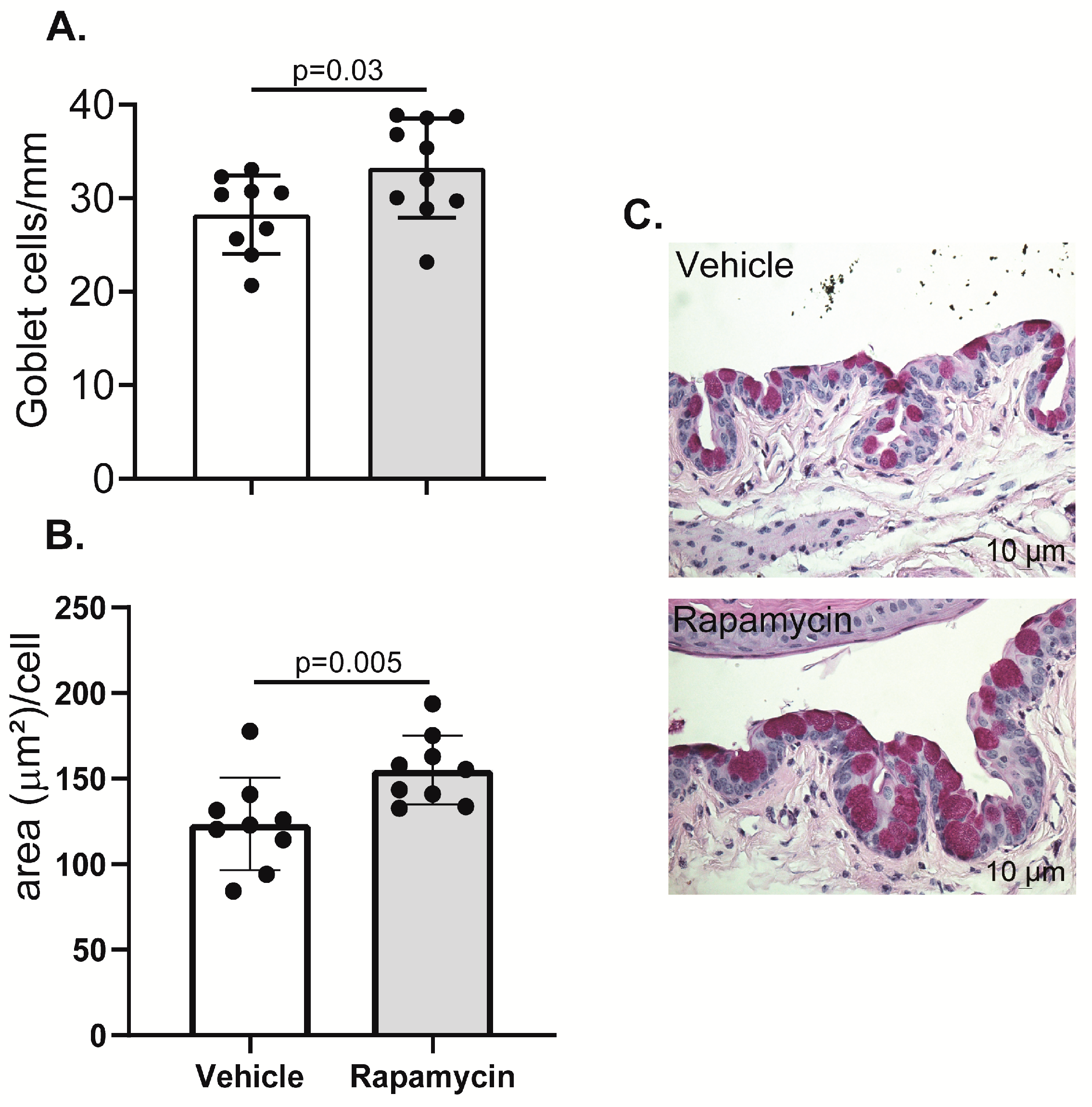 Ijms Free Full Text Rapamycin Eyedrops Increased Cd4 Foxp3 Cells And Prevented Goblet Cell Loss In The Aged Ocular Surface Ijms Free Full Text Rapamycin Eyedrops Increased Cd4 Foxp3 Cells And Prevented Goblet Cell Loss In The Aged Ocular Surface