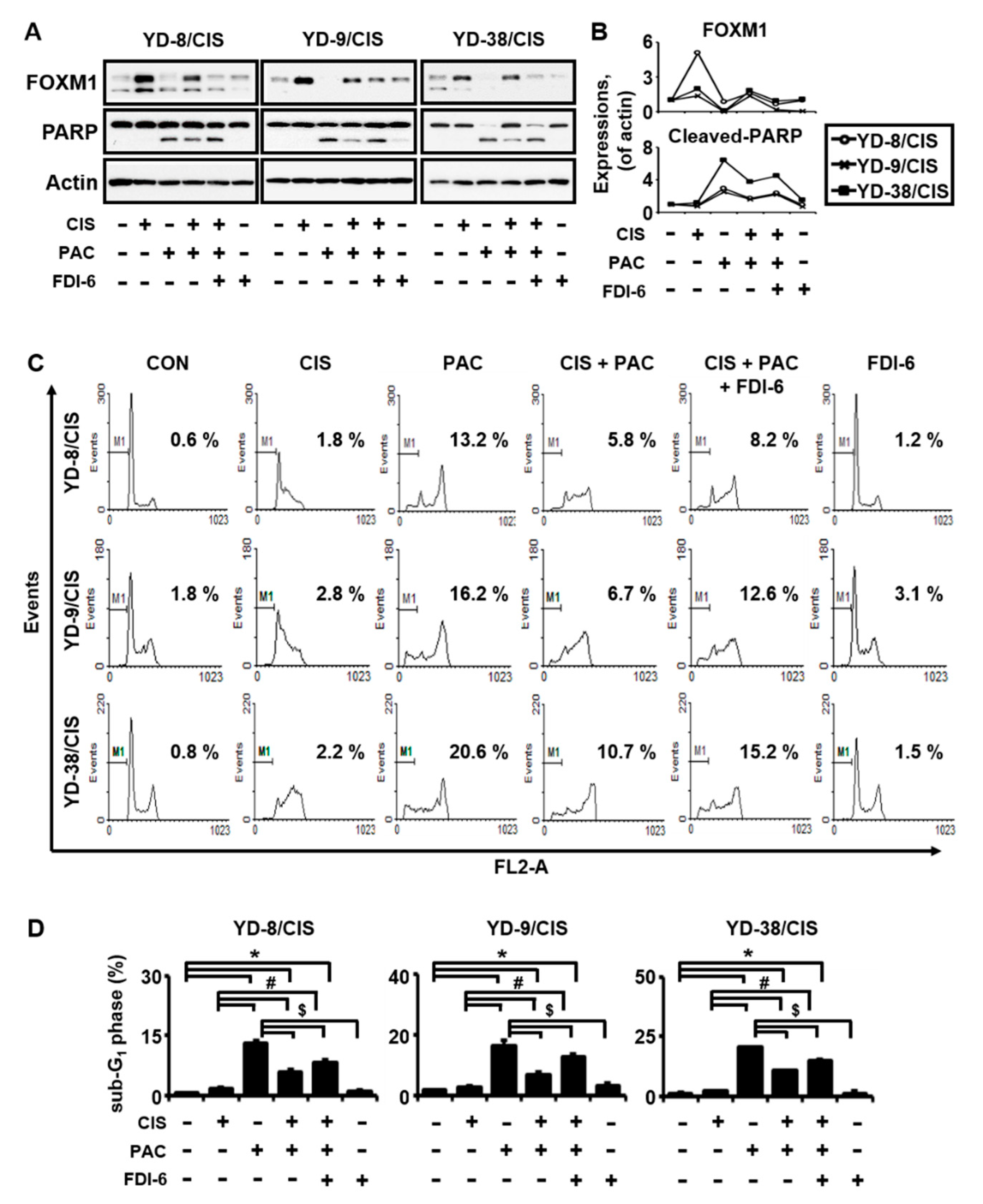 Ijms 21 08897 g003 Ijms 21 08897 g003