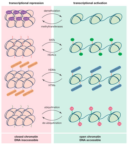 Epigenetic Regulation of Pulmonary Arterial Hypertension