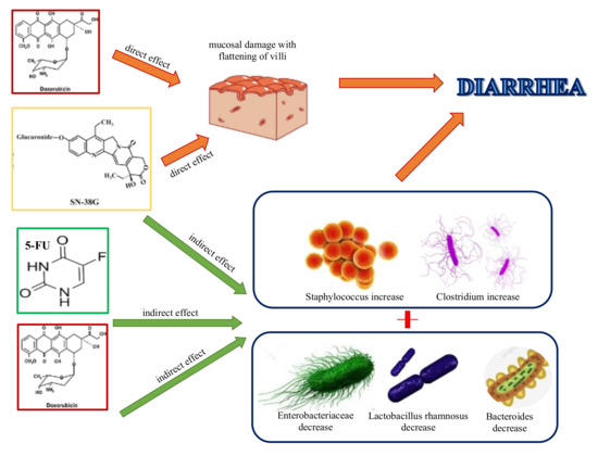 Ijms 21 08902 g001 550