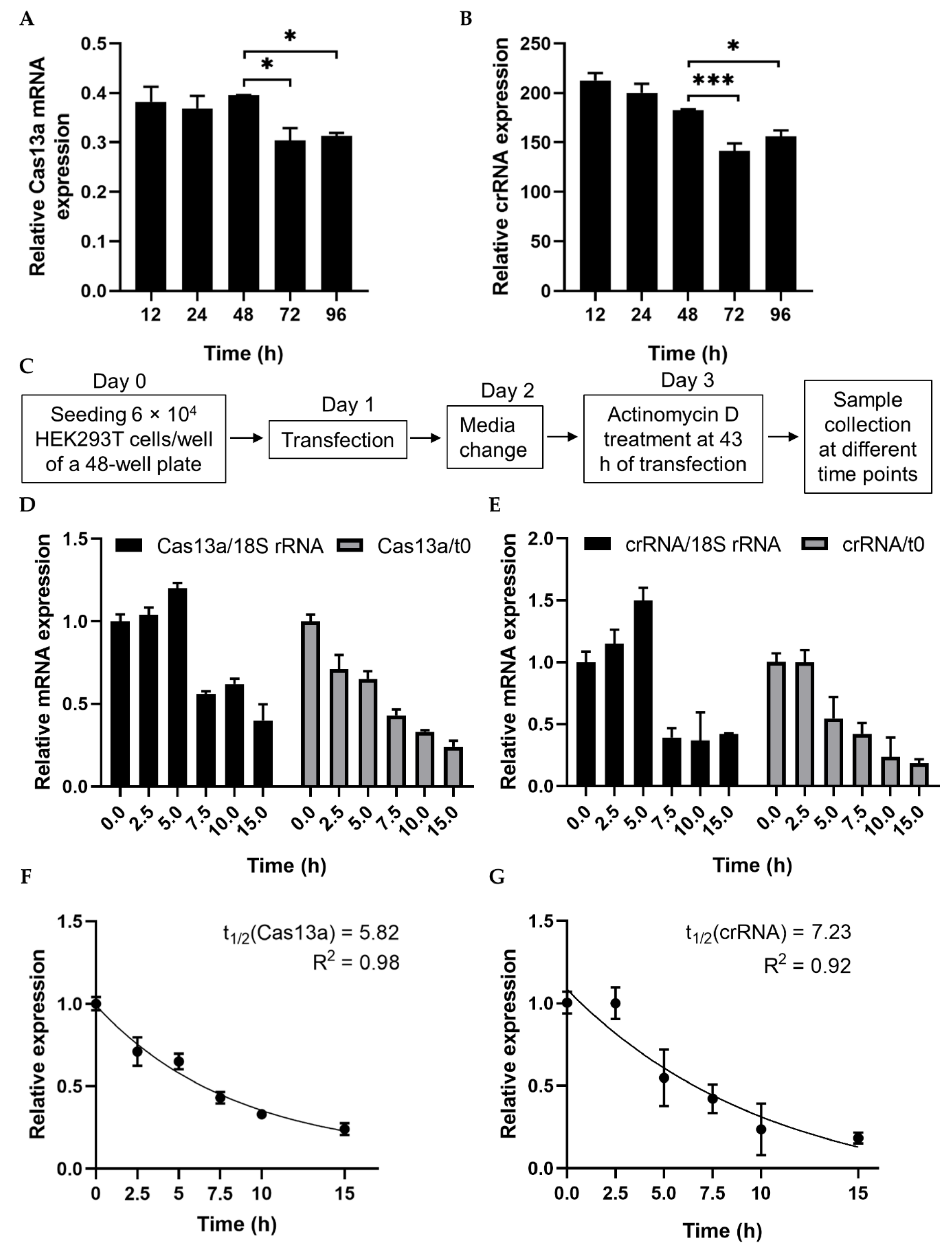 Ijms 21 08904 g001 Ijms 21 08904 g001