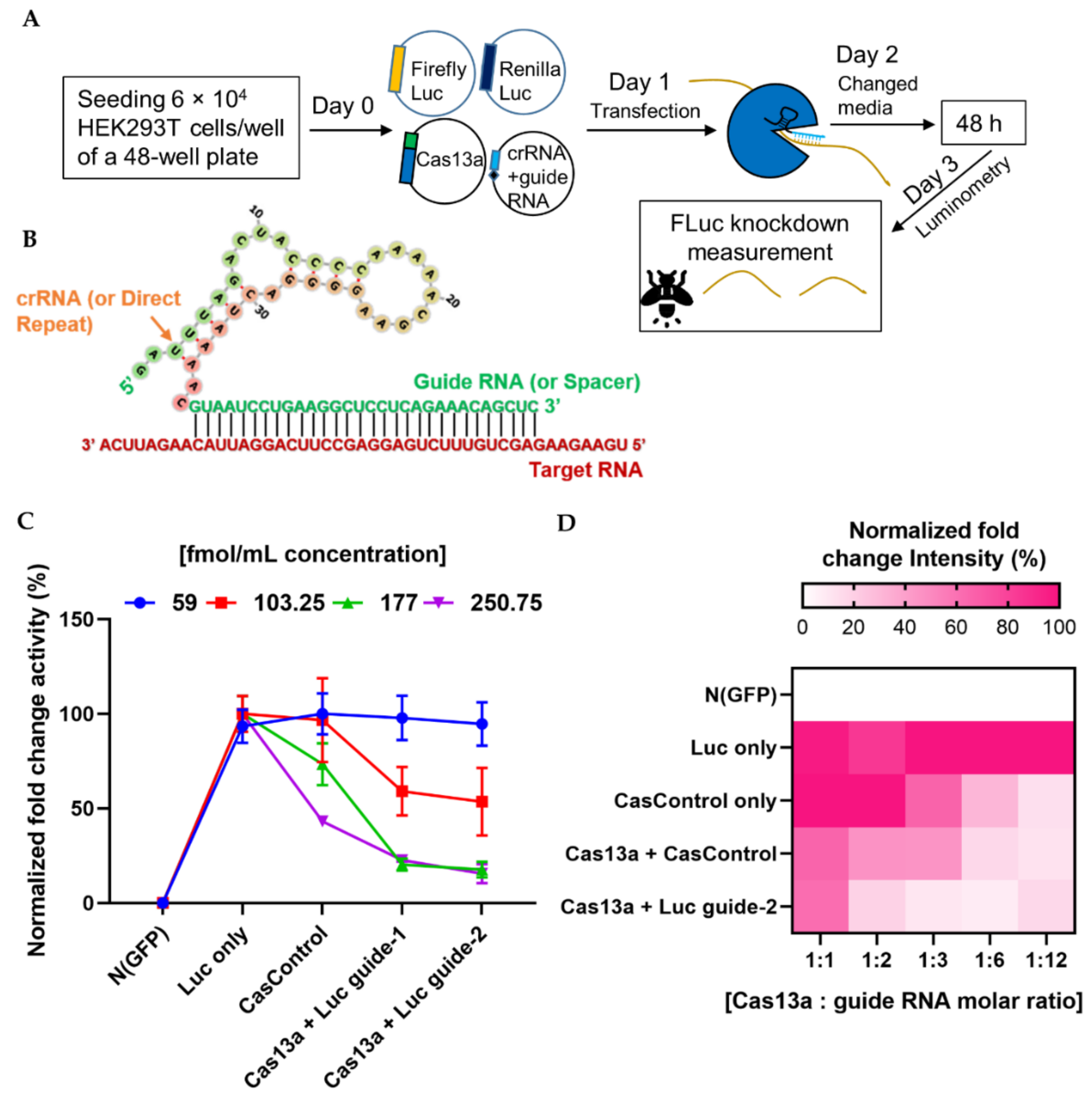 Ijms 21 08904 g002 Ijms 21 08904 g002