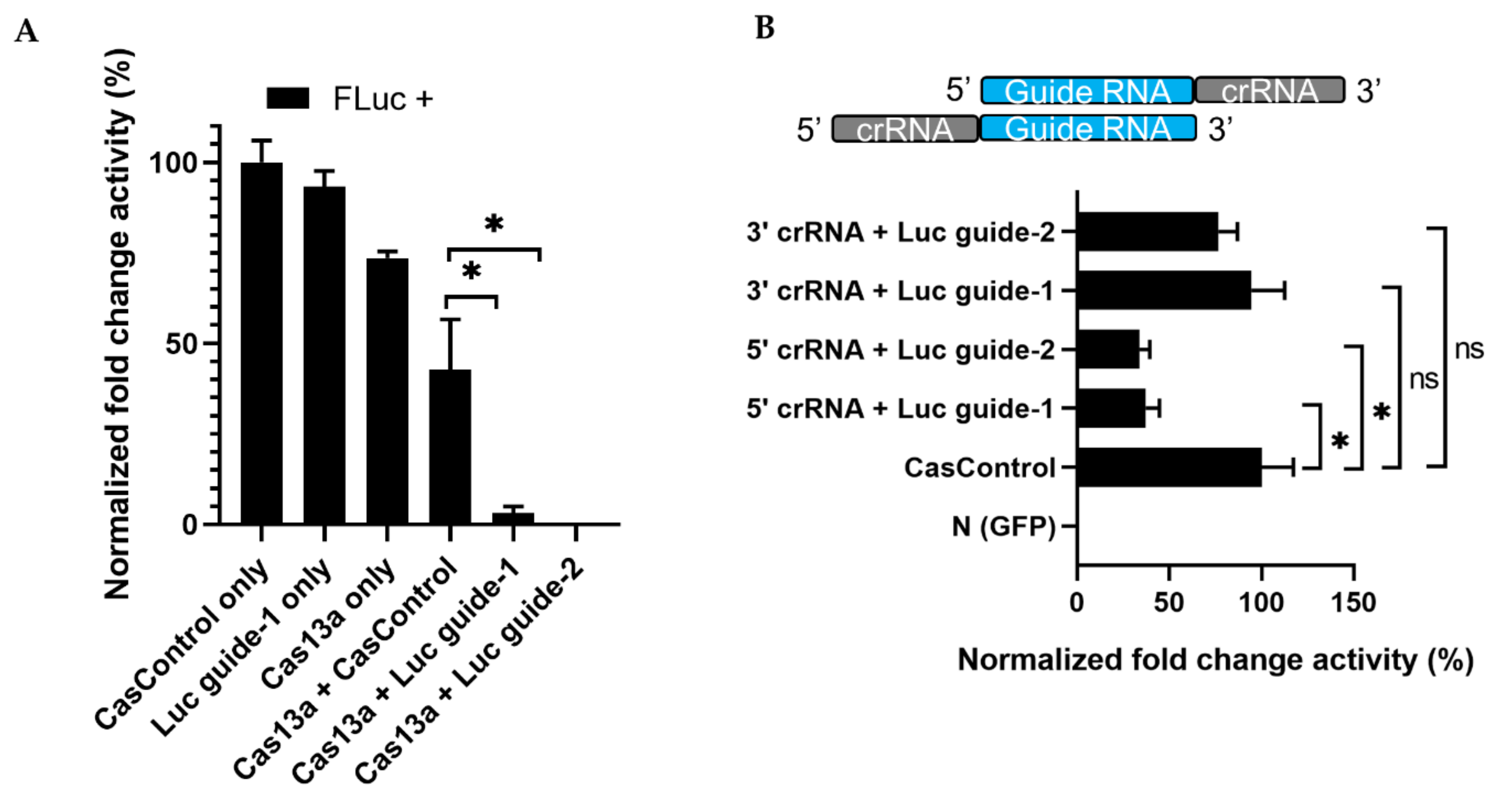 Ijms 21 08904 g003 Ijms 21 08904 g003