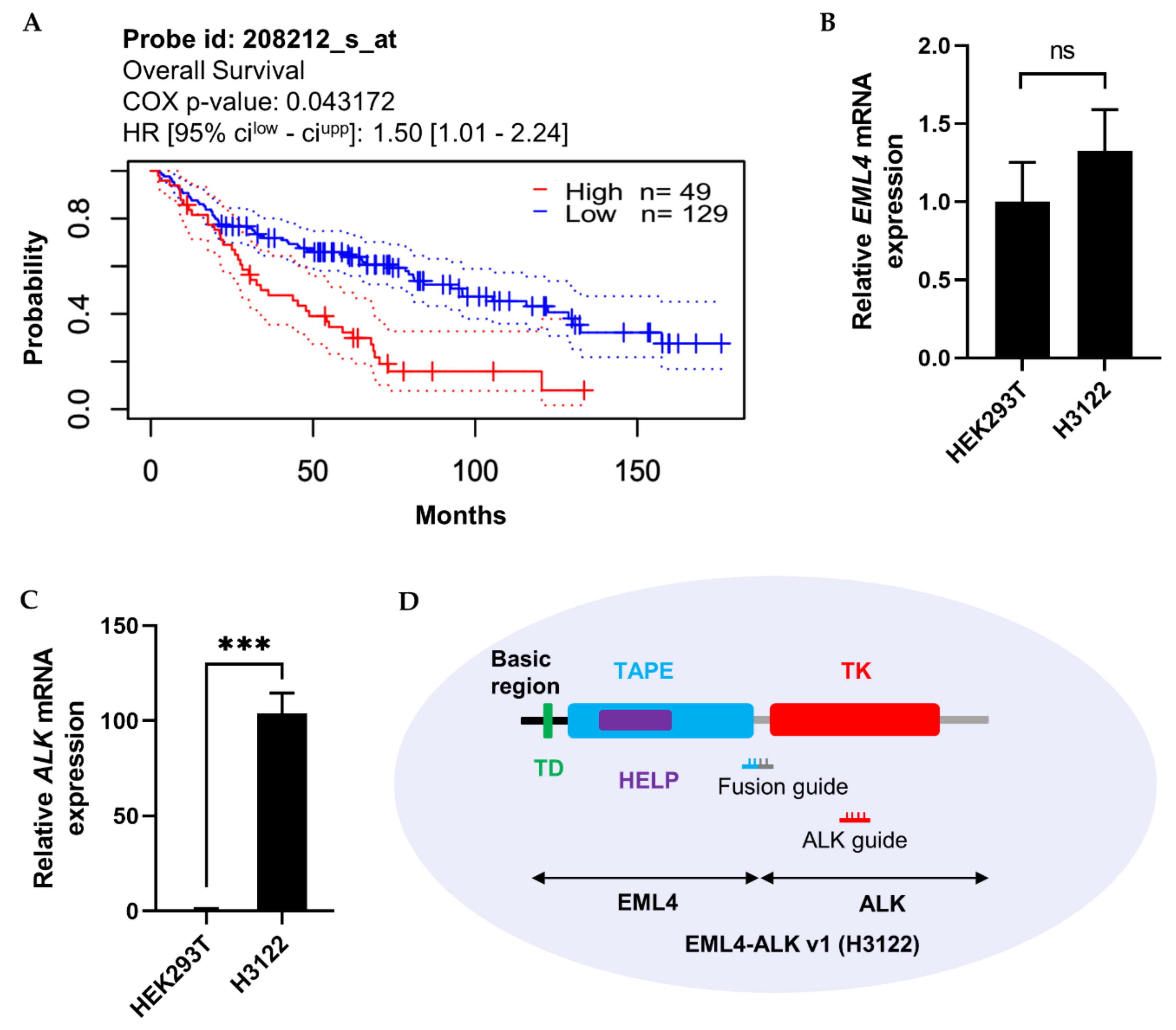 Ijms 21 08904 g005 Ijms 21 08904 g005