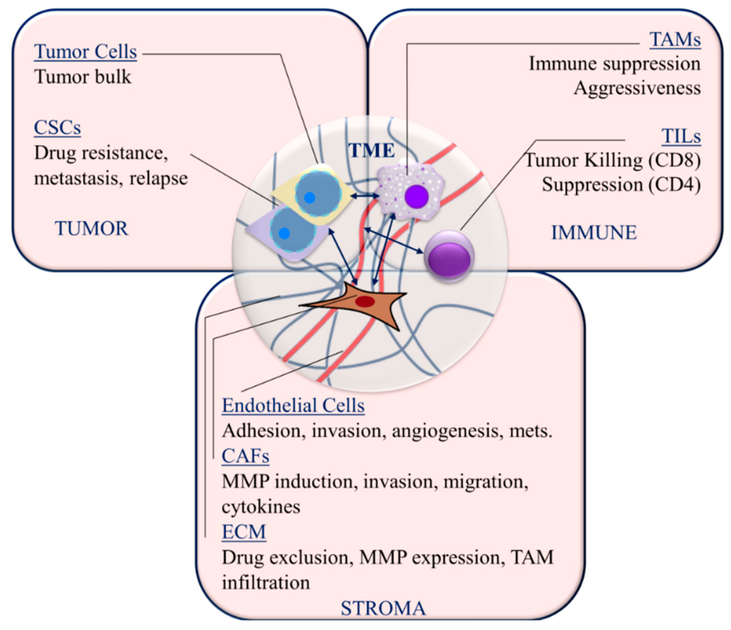 Ijms 21 08905 g002 Ijms 21 08905 g002