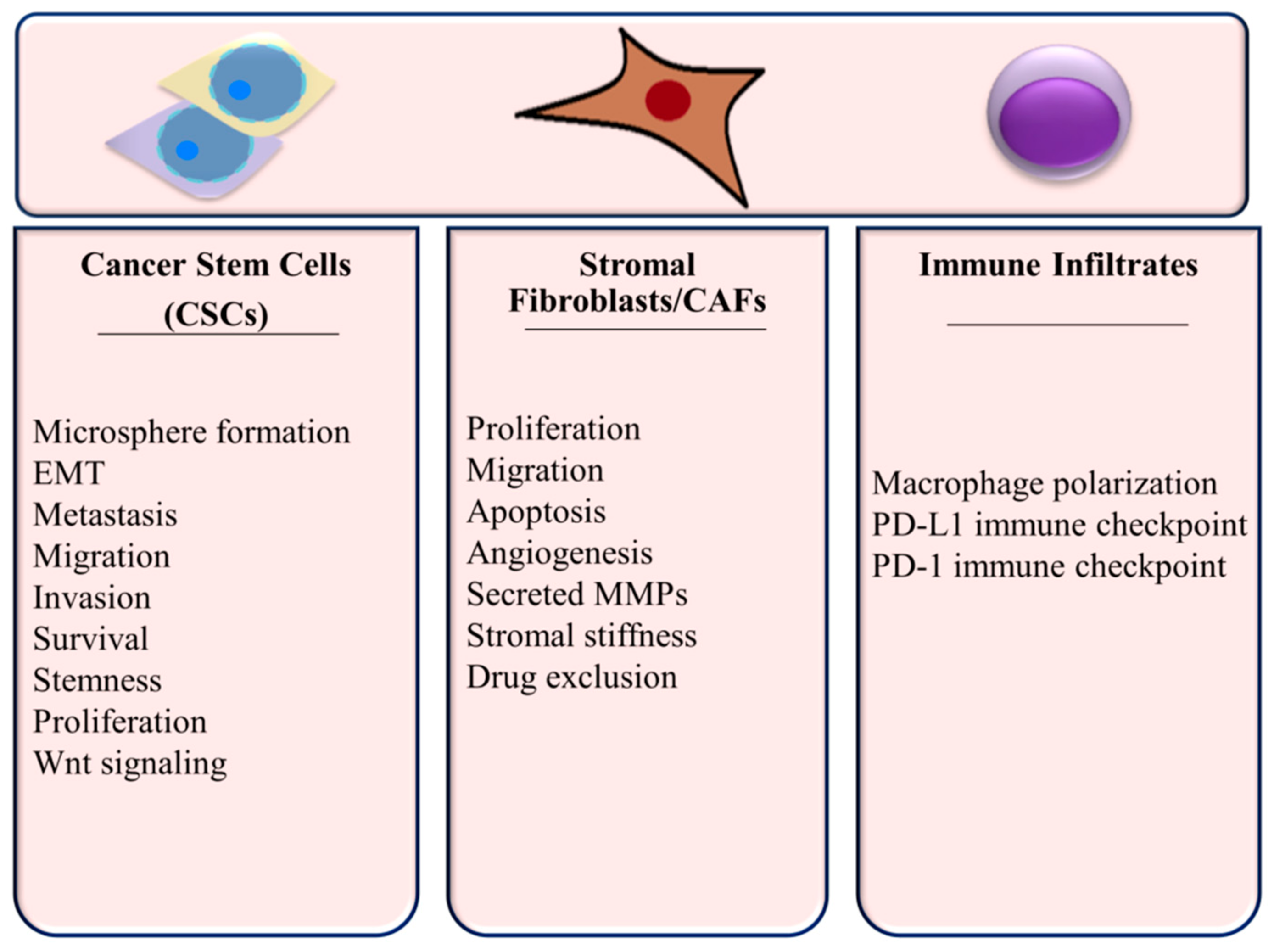 Ijms 21 08905 g003 Ijms 21 08905 g003
