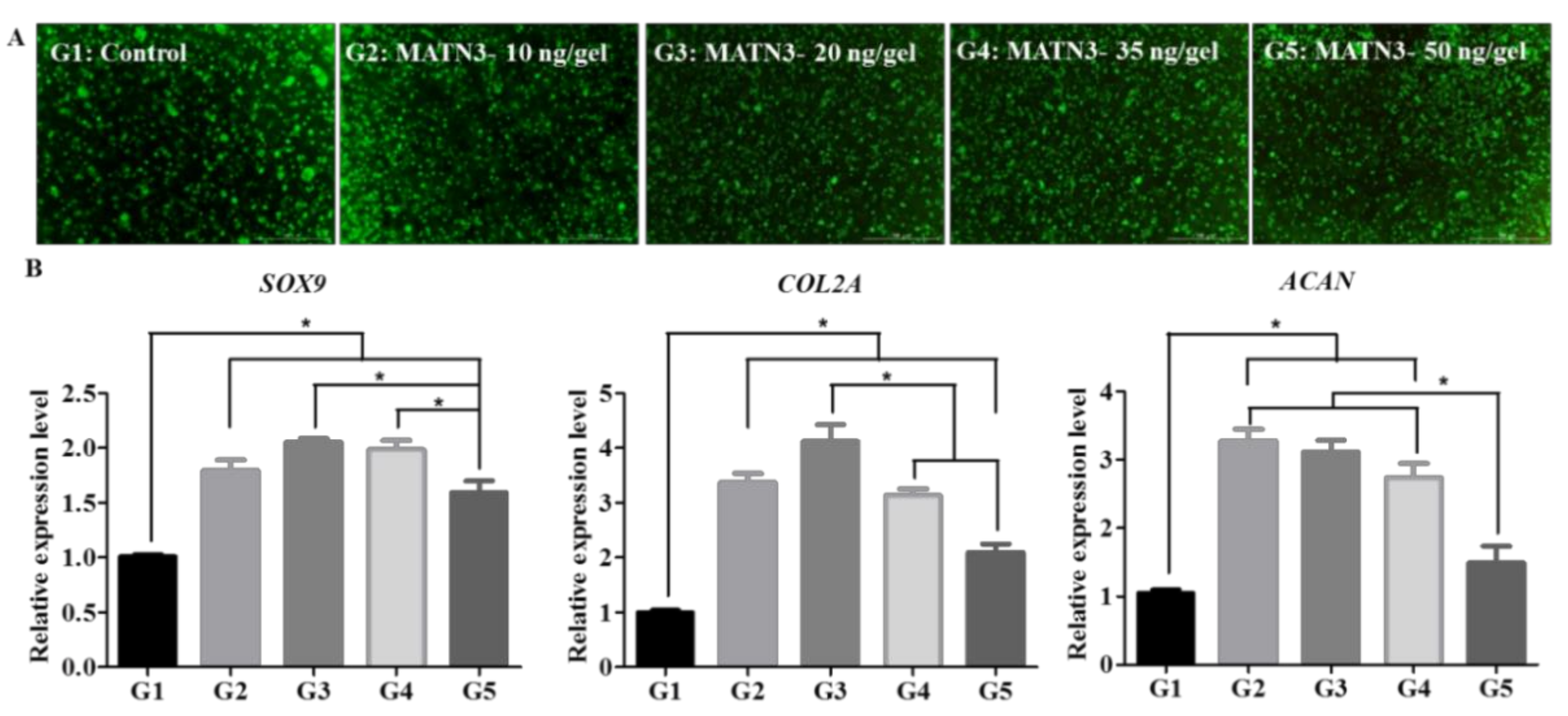Ijms 21 08911 g002 Ijms 21 08911 g002