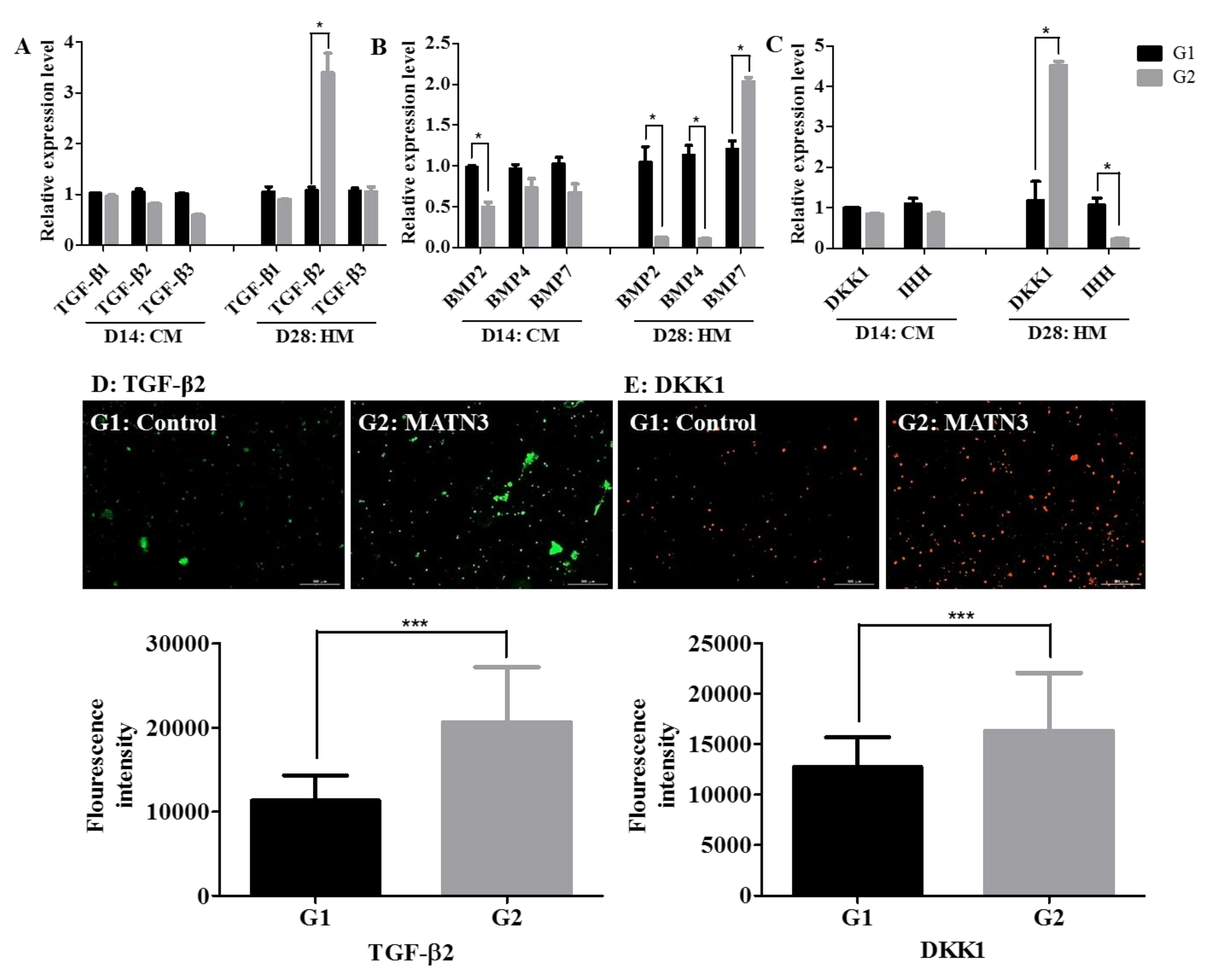 Ijms 21 08911 g004 Ijms 21 08911 g004