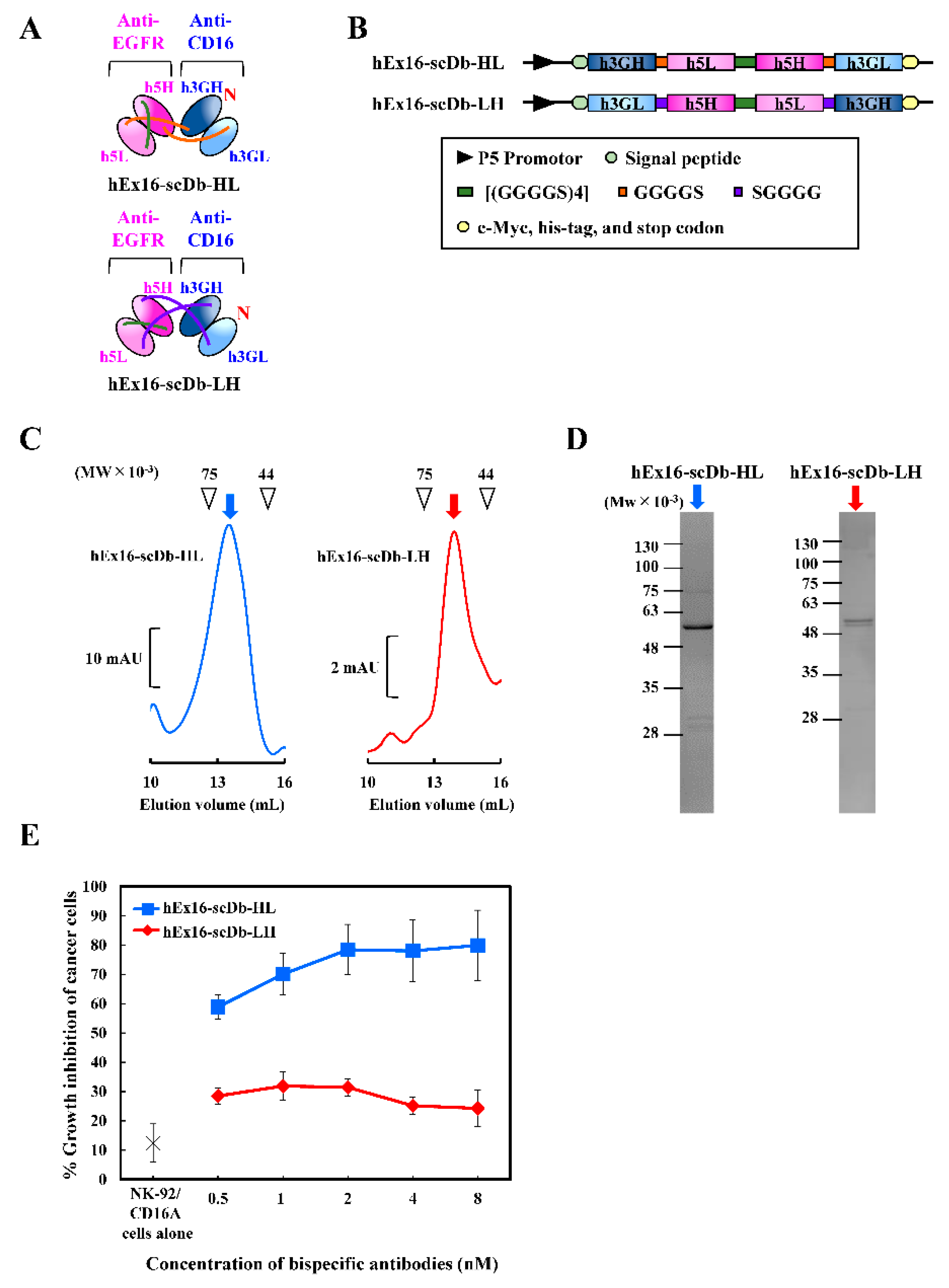 Ijms 21 08914 g003 Ijms 21 08914 g003