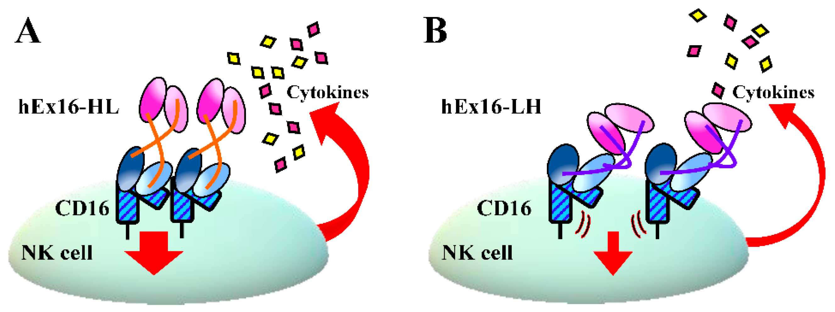Ijms 21 08914 g006 Ijms 21 08914 g006