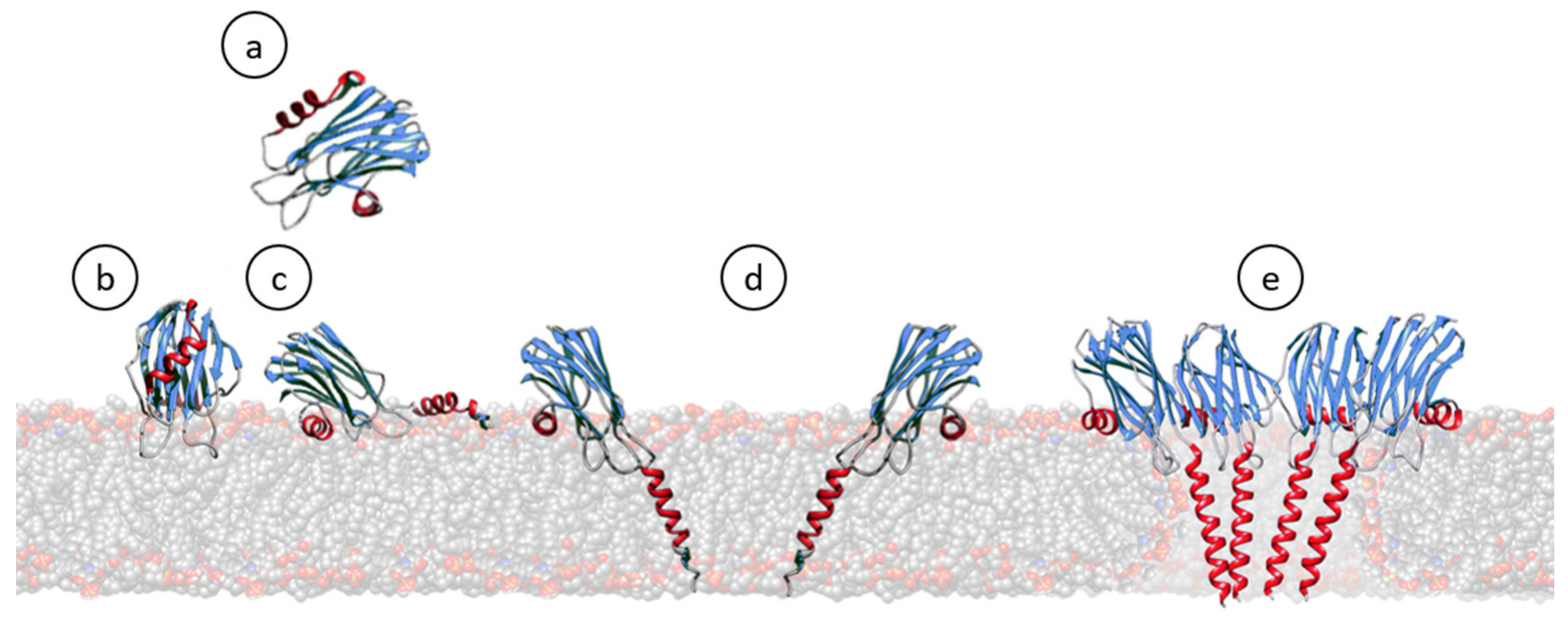 Ijms 21 08915 g003 Ijms 21 08915 g003