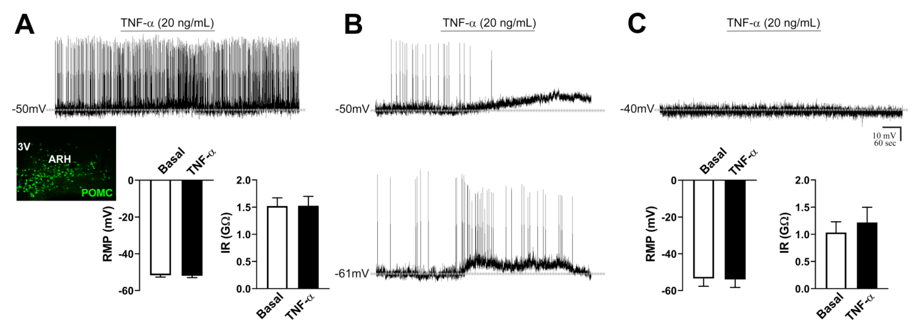 Ijms 21 08928 g004 Ijms 21 08928 g004