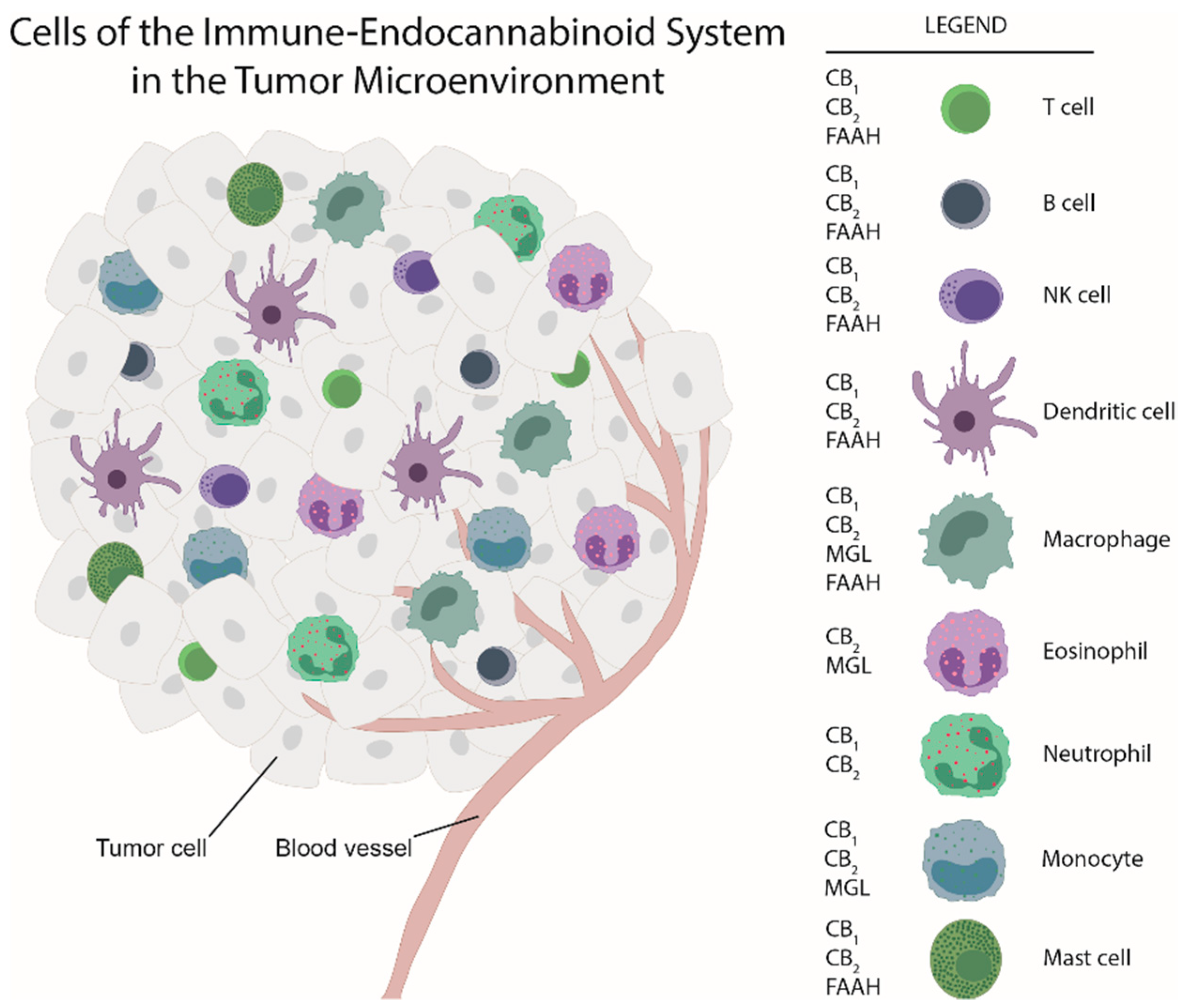 Ijms Free Full Text The Immune Endocannabinoid System Of The Tumor Microenvironment Html