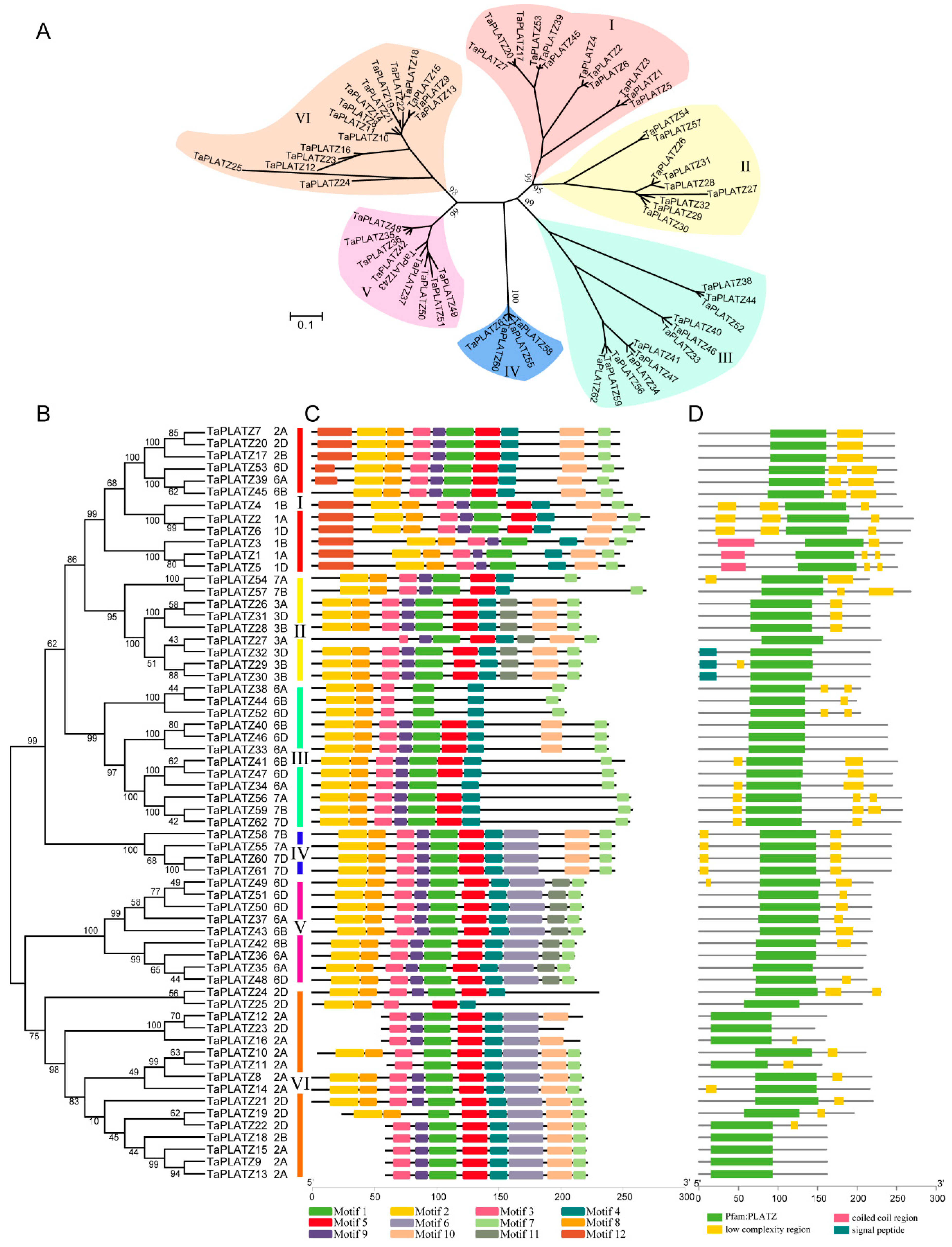 Ijms 21 08934 g001 Ijms 21 08934 g001