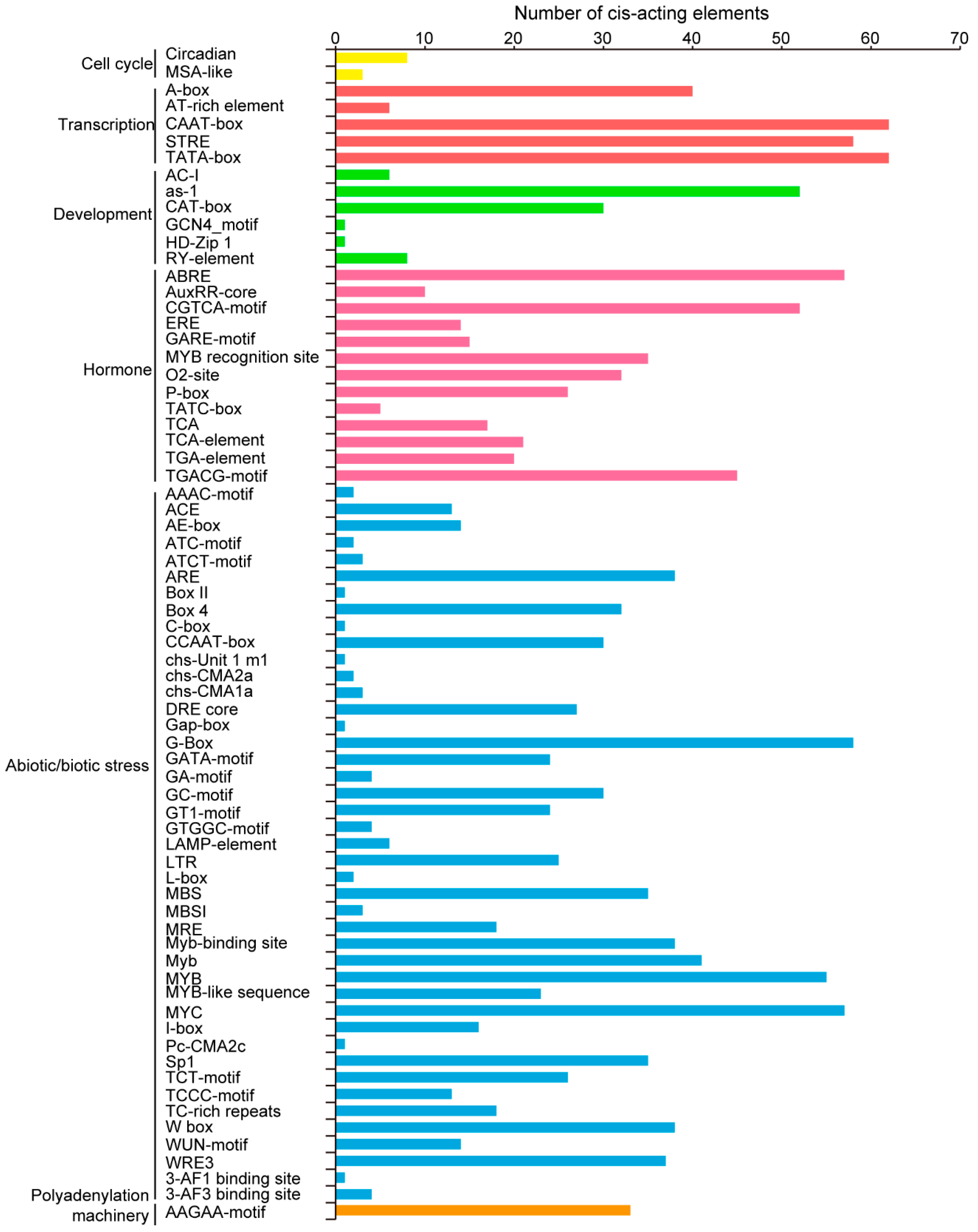 Ijms 21 08934 g004 Ijms 21 08934 g004
