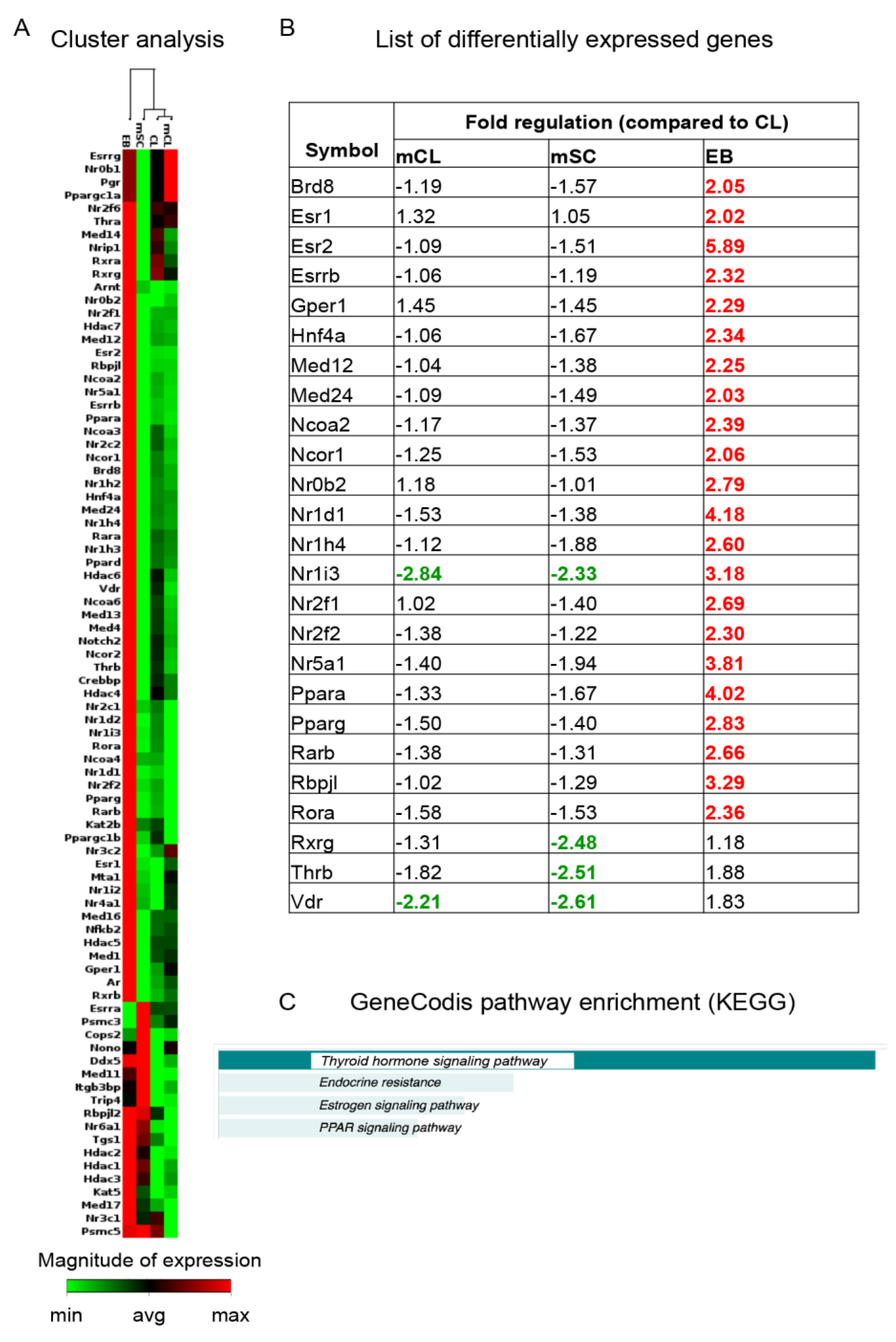 Ijms 21 08945 g003 Ijms 21 08945 g003