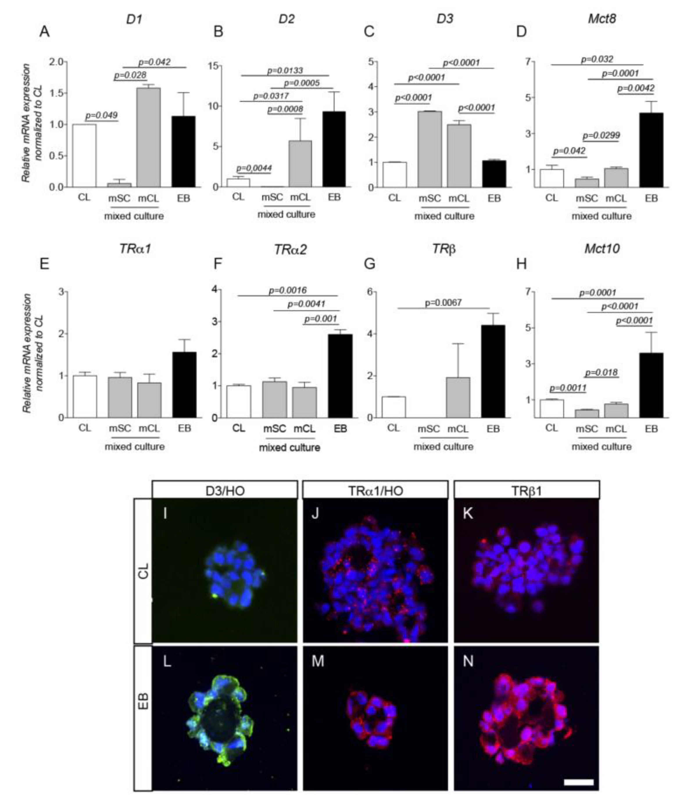 Ijms 21 08945 g004 Ijms 21 08945 g004