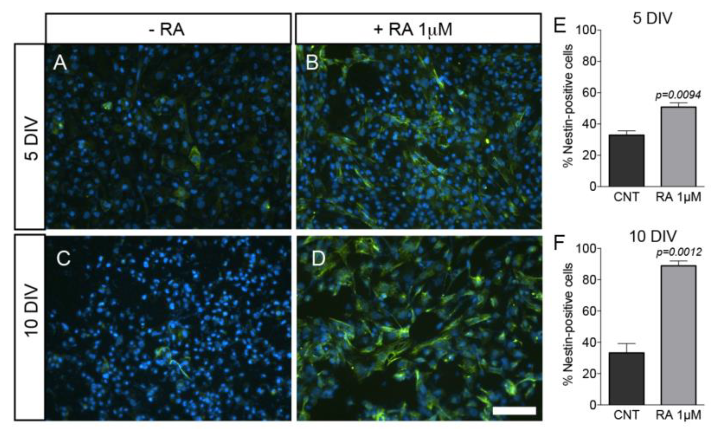 Ijms 21 08945 g005 Ijms 21 08945 g005