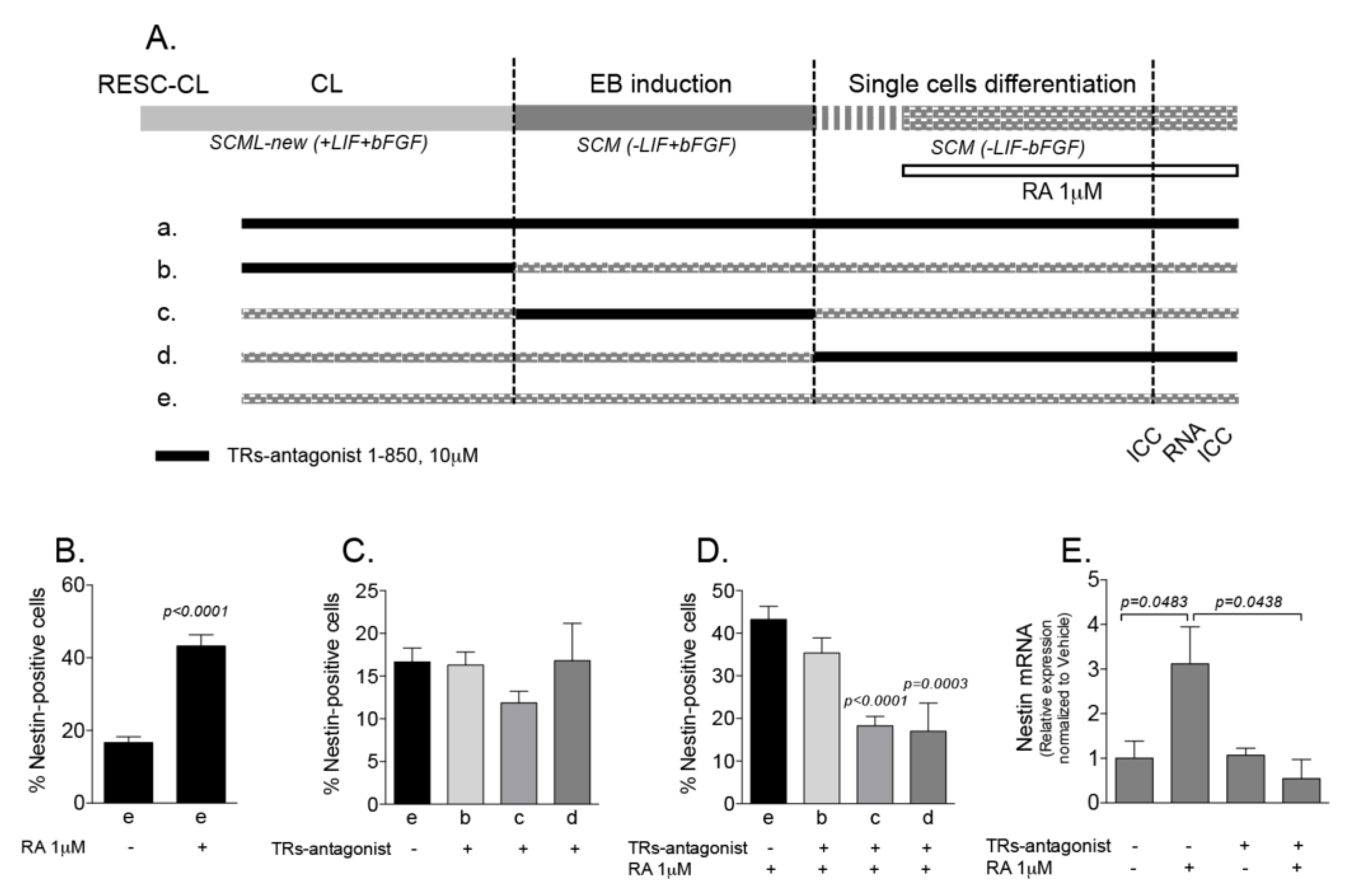Ijms 21 08945 g006 Ijms 21 08945 g006