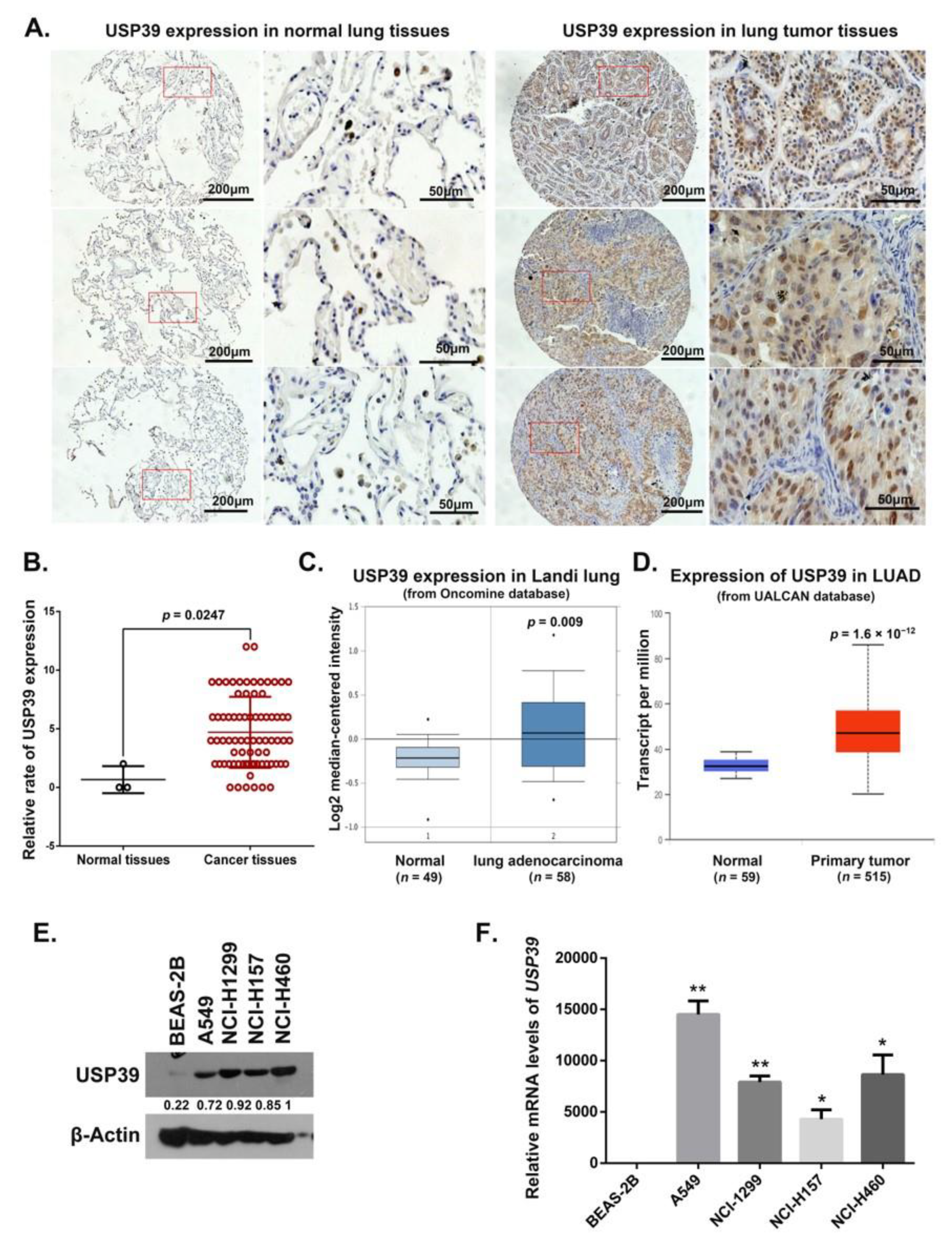 Ijms 21 08949 g001 Ijms 21 08949 g001