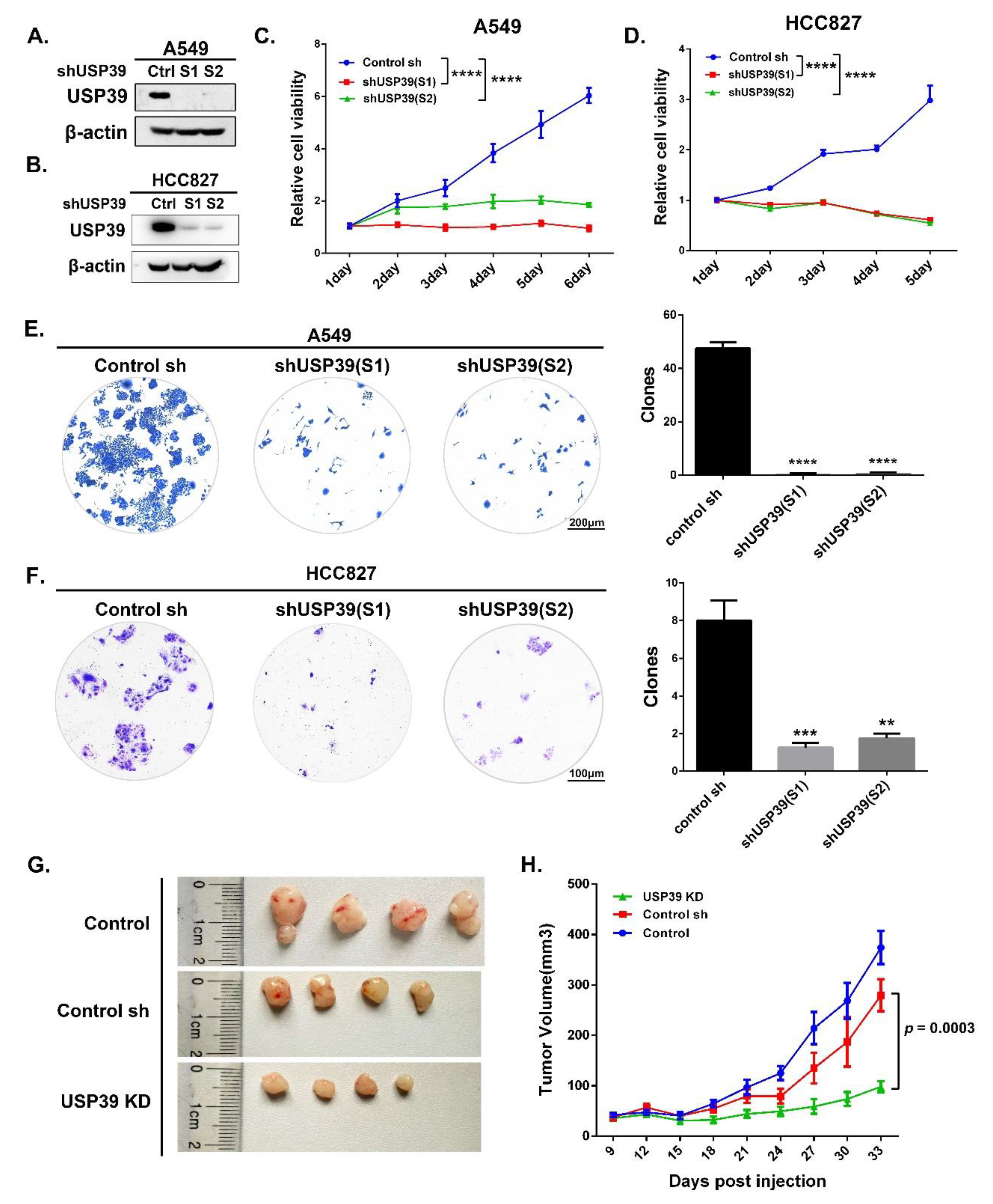Ijms 21 08949 g002 Ijms 21 08949 g002