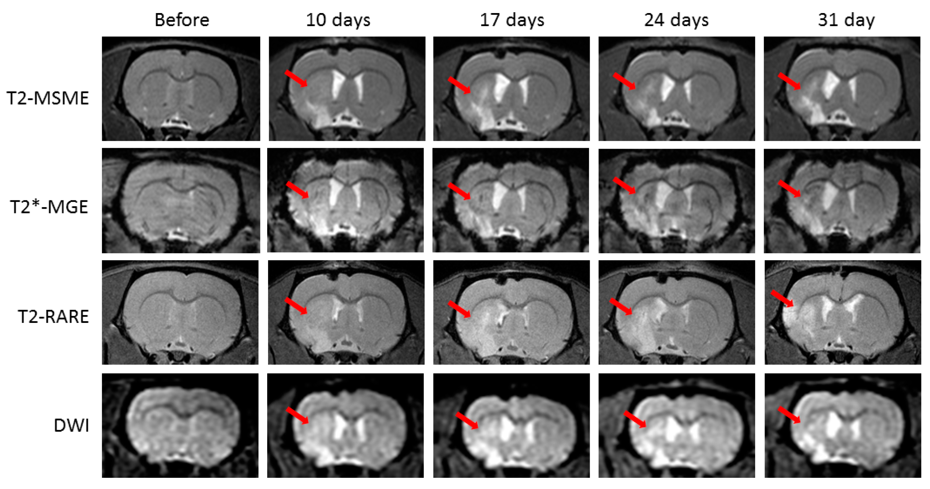 Ijms 21 08951 g001 Ijms 21 08951 g001
