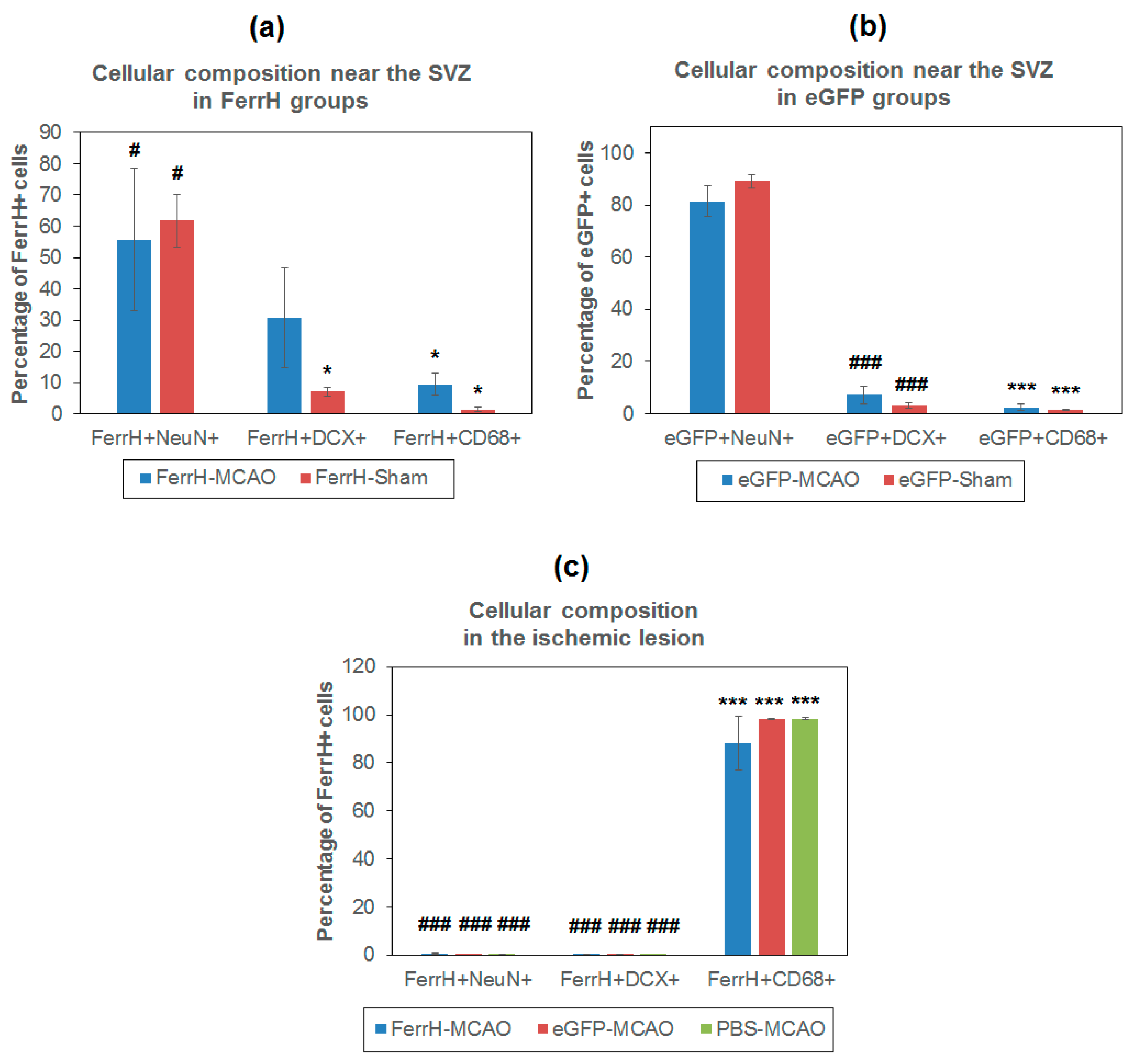 Ijms 21 08951 g008 Ijms 21 08951 g008