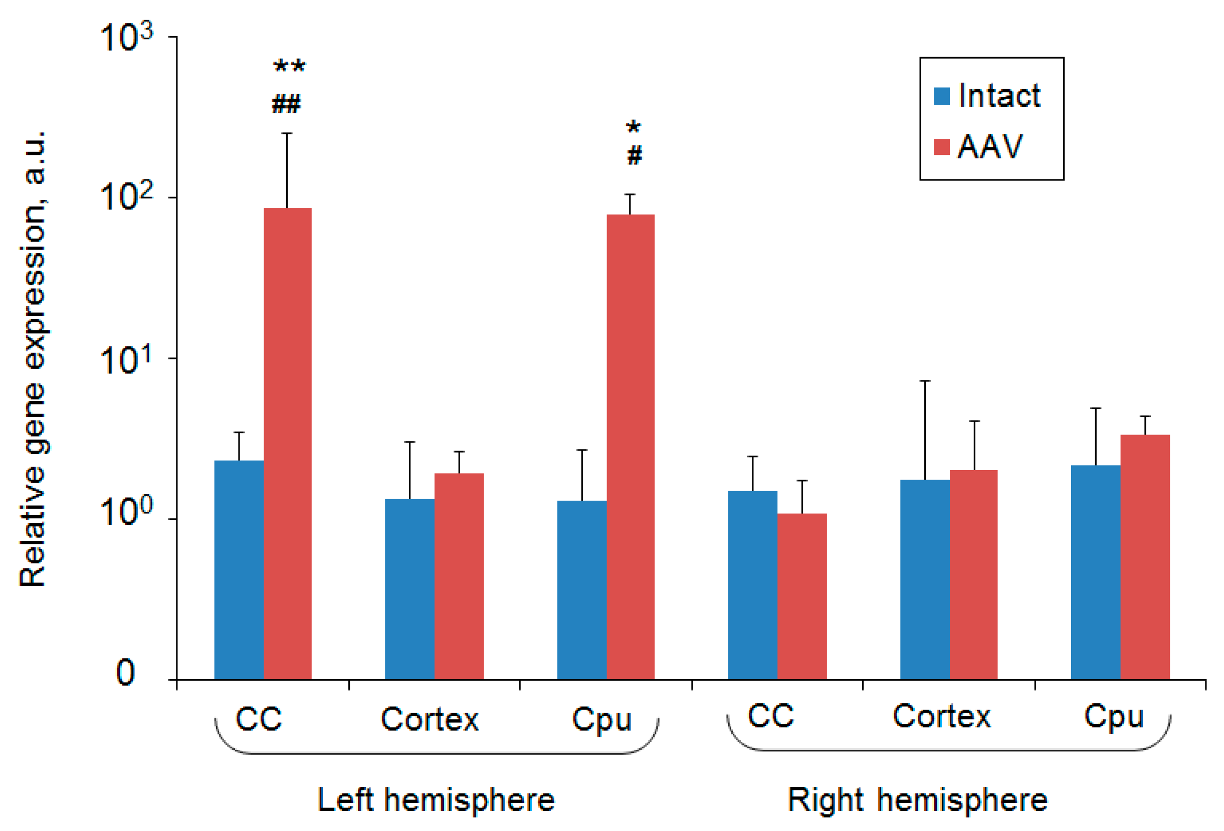 Ijms 21 08951 g009 Ijms 21 08951 g009