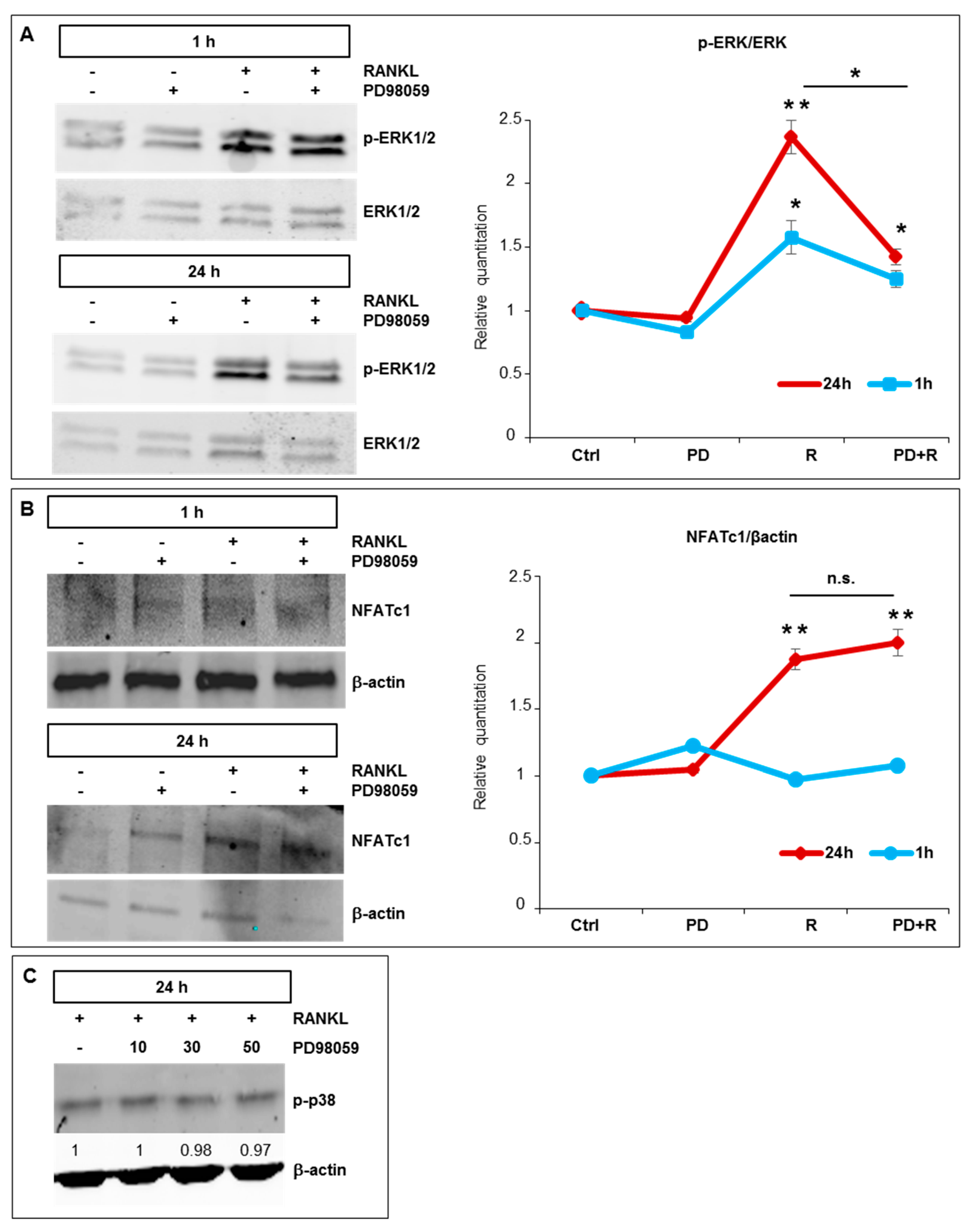Ijms 21 08965 g004 Ijms 21 08965 g004
