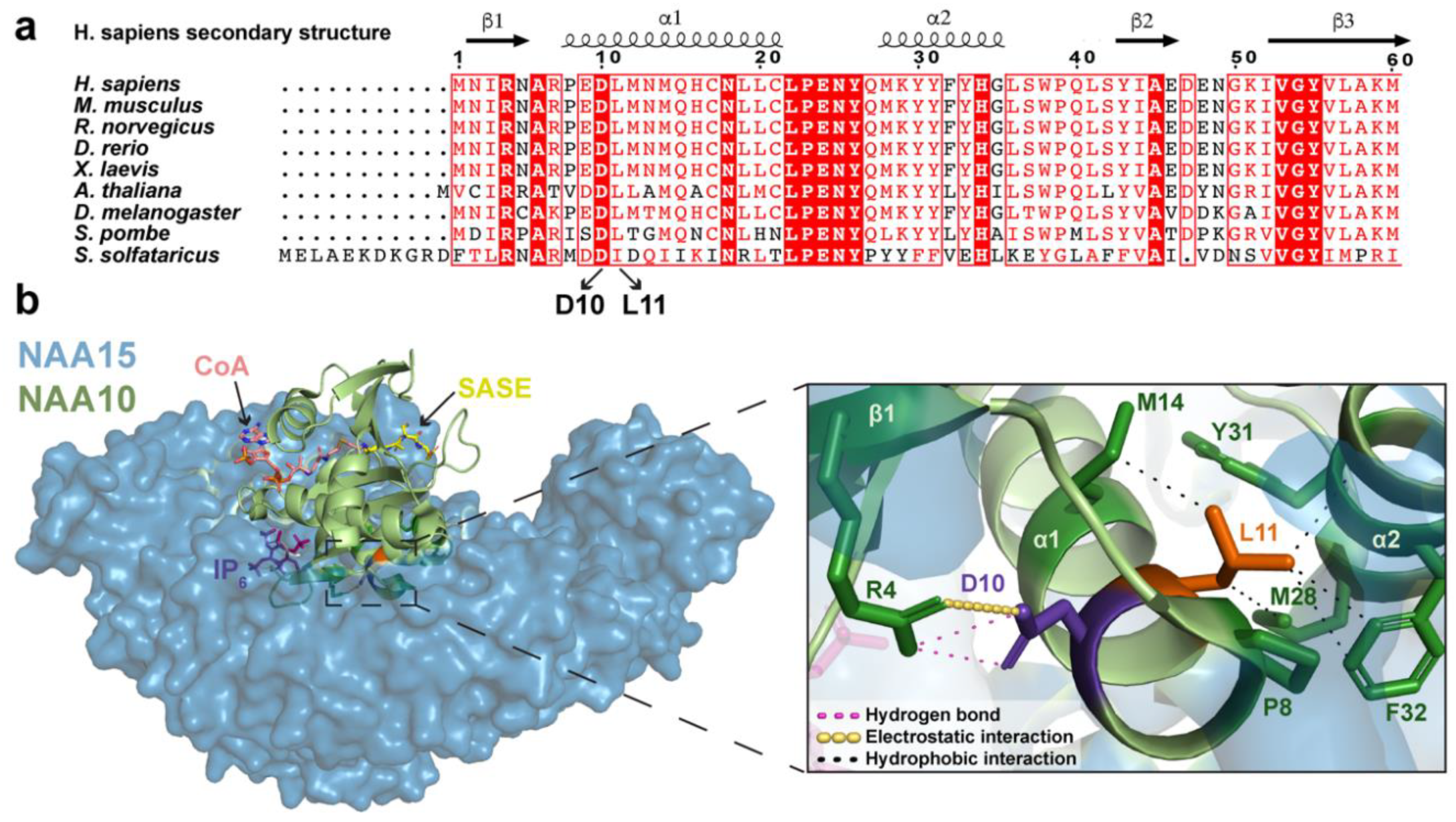 Ijms 21 08973 g001 Ijms 21 08973 g001
