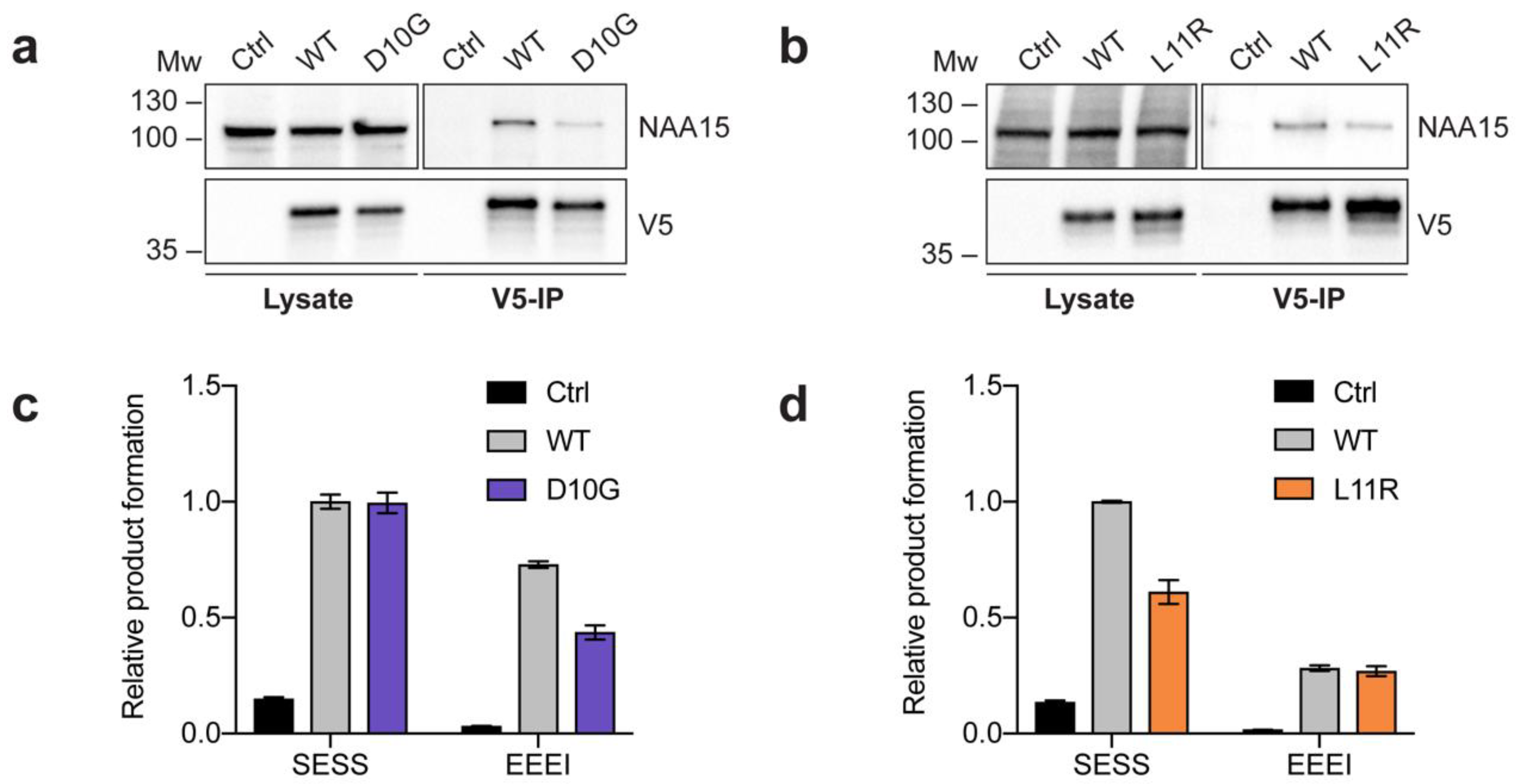 Ijms 21 08973 g002 Ijms 21 08973 g002