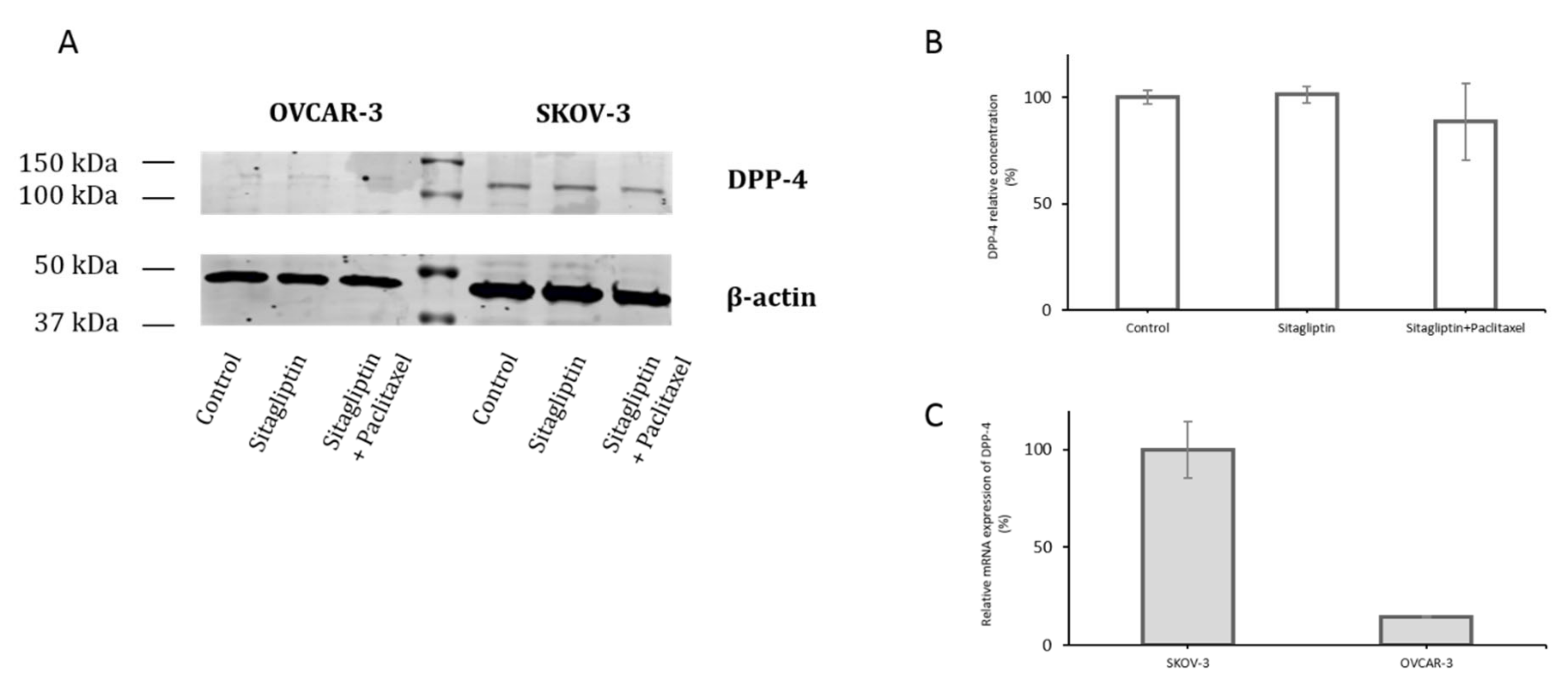 Ijms 21 08976 g002 Ijms 21 08976 g002