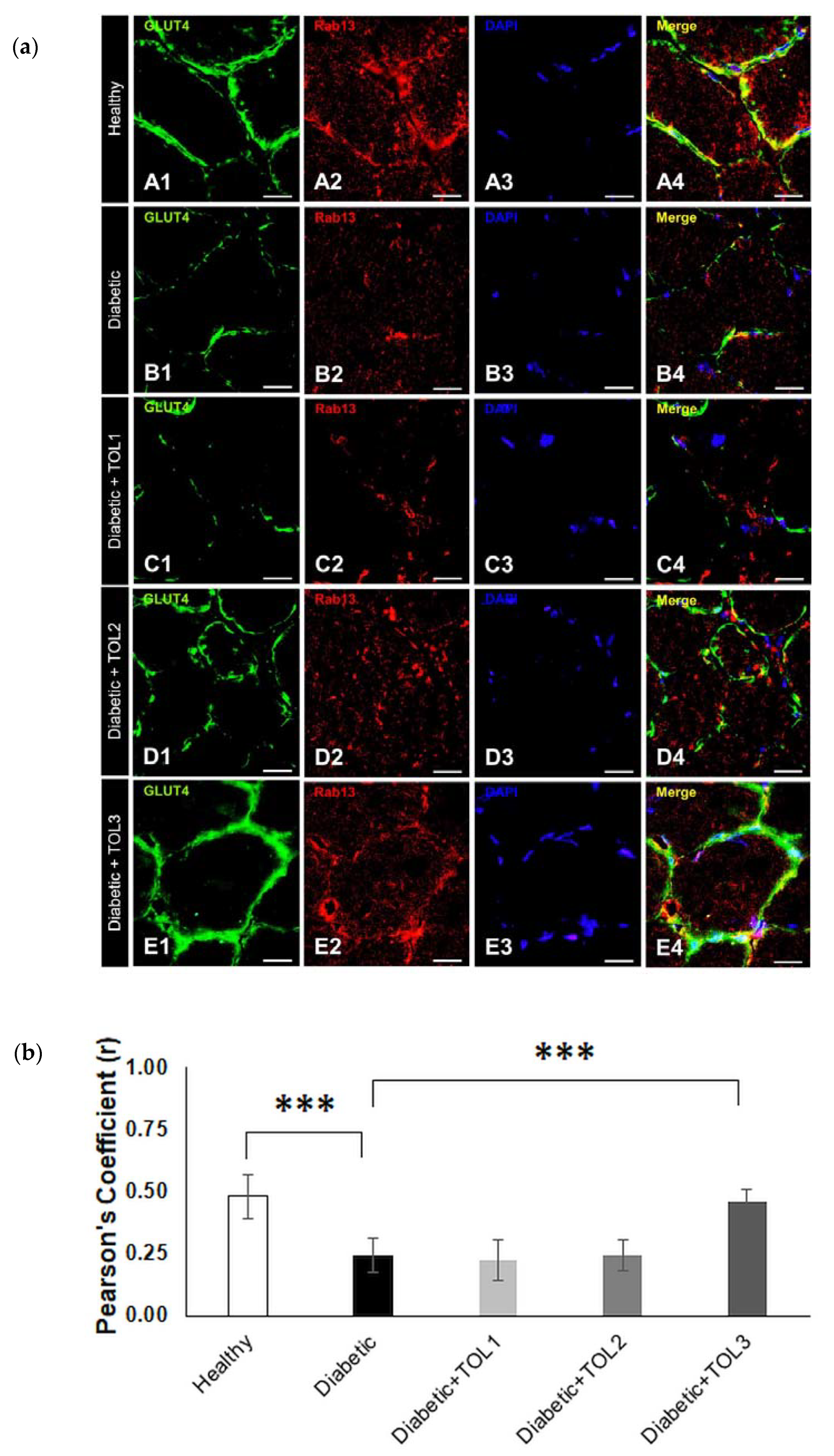 Ijms 21 08981 g005 Ijms 21 08981 g005